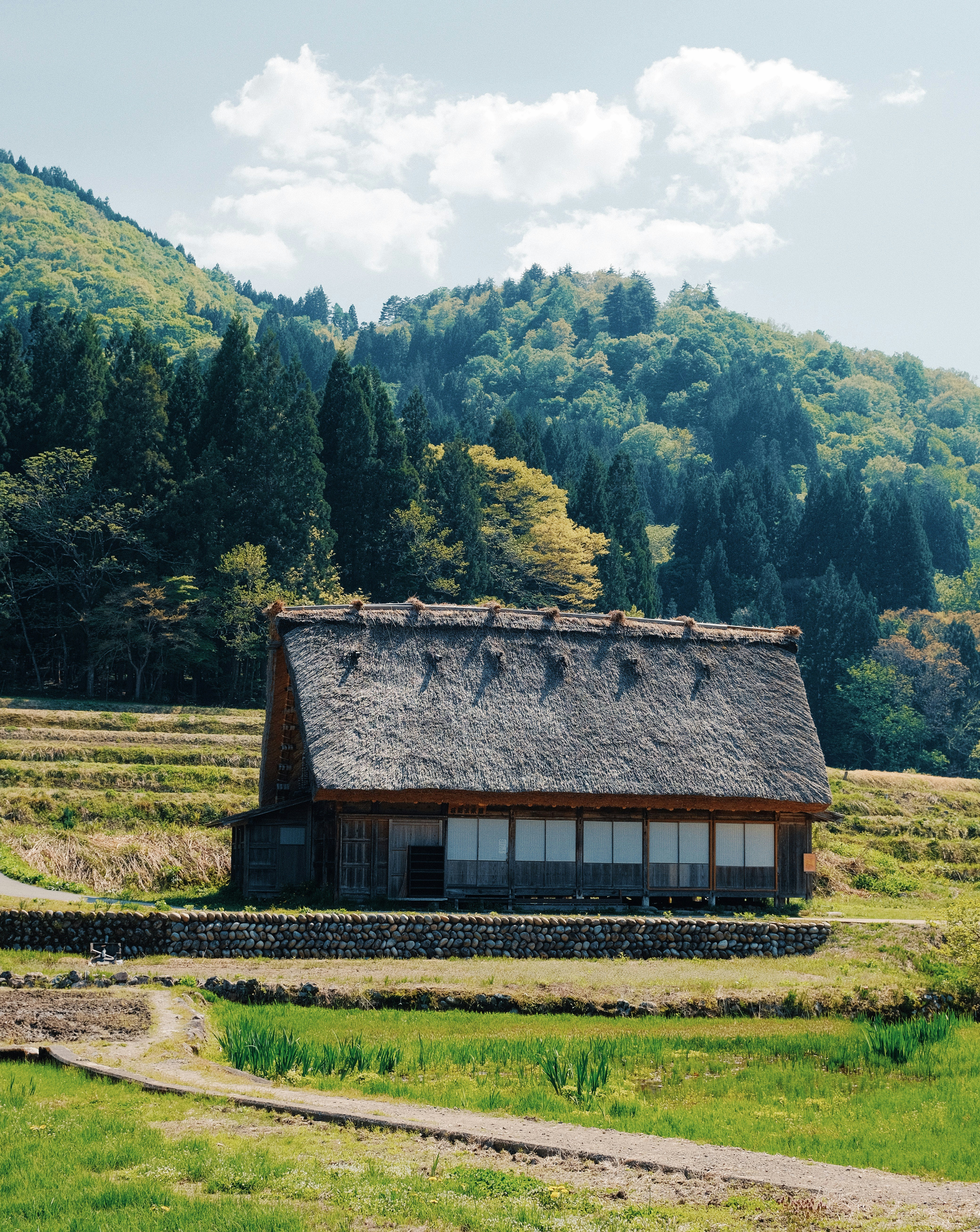 田園風景に浮かぶ伝統的な茅葺き屋根の家