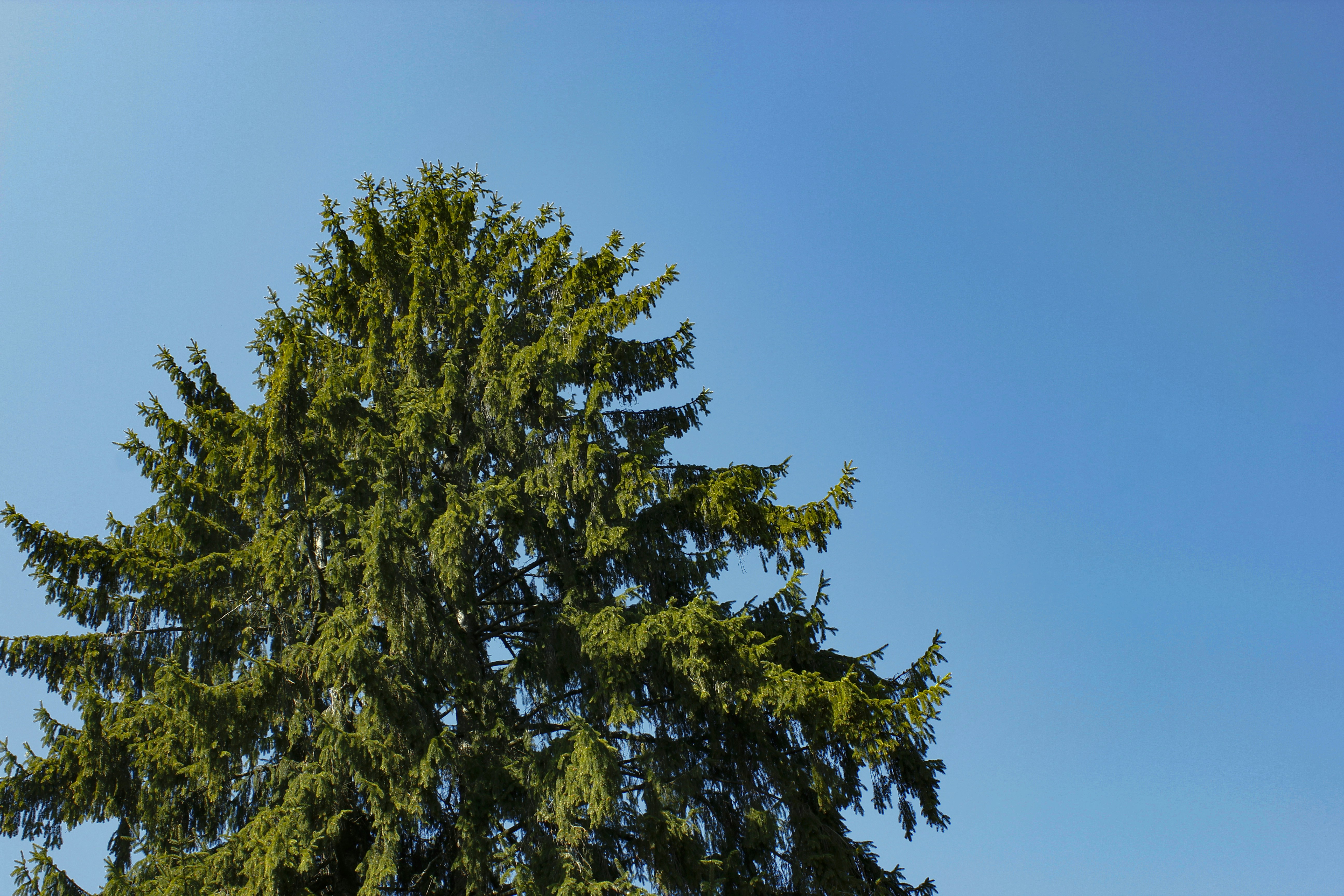 Photo by mycreativedisorder