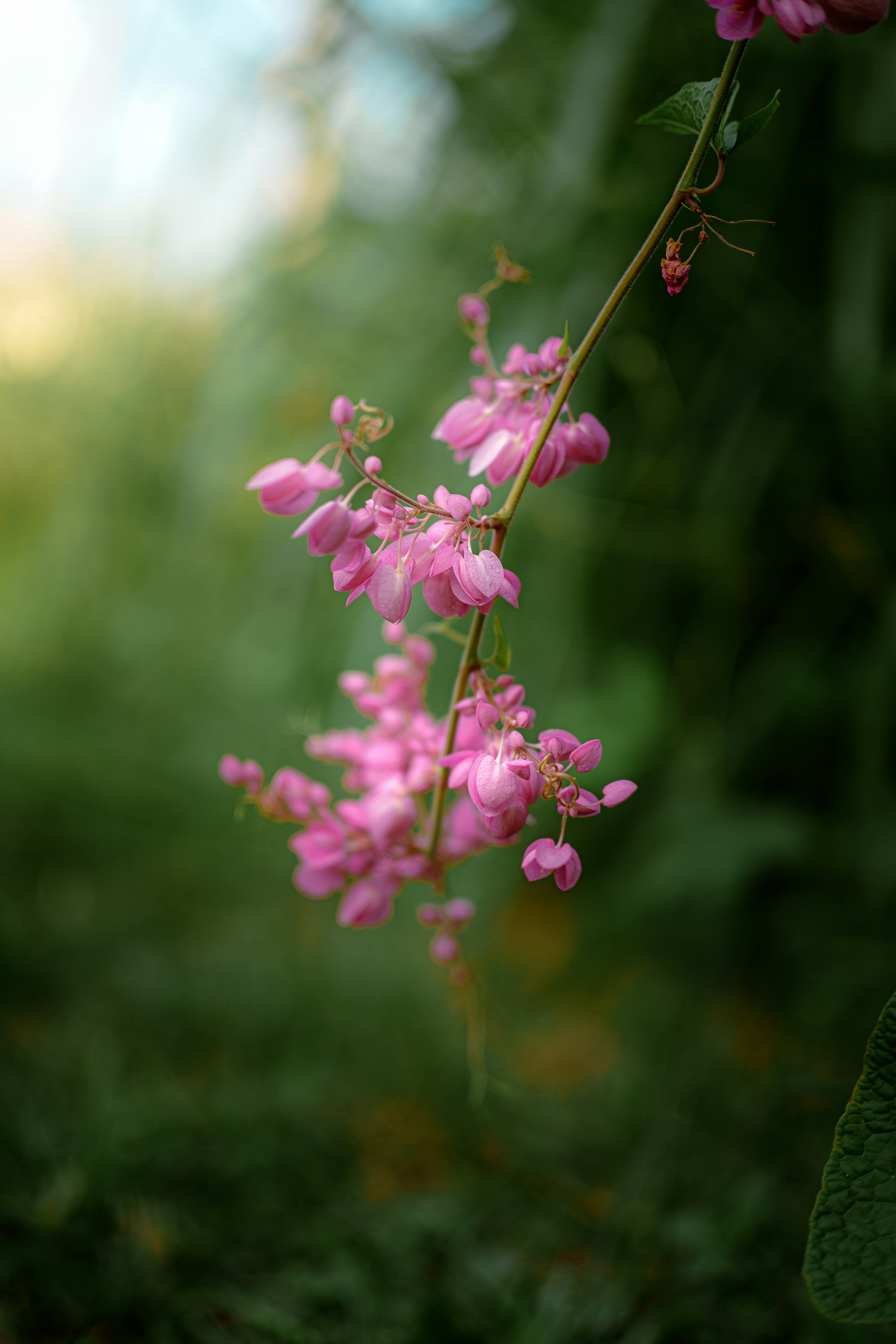 Photo by jealife_pictures