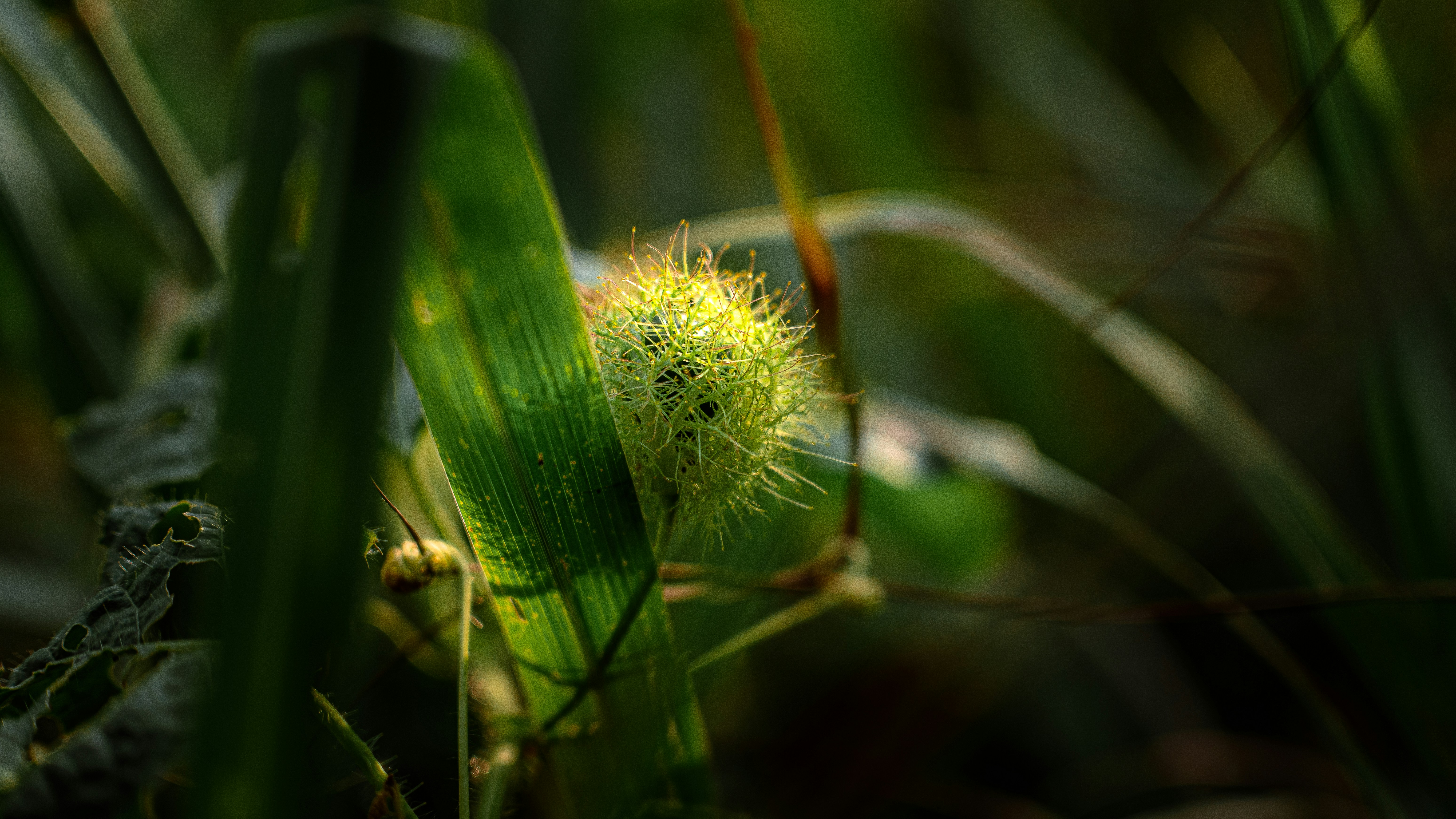 Photo by jealife_pictures