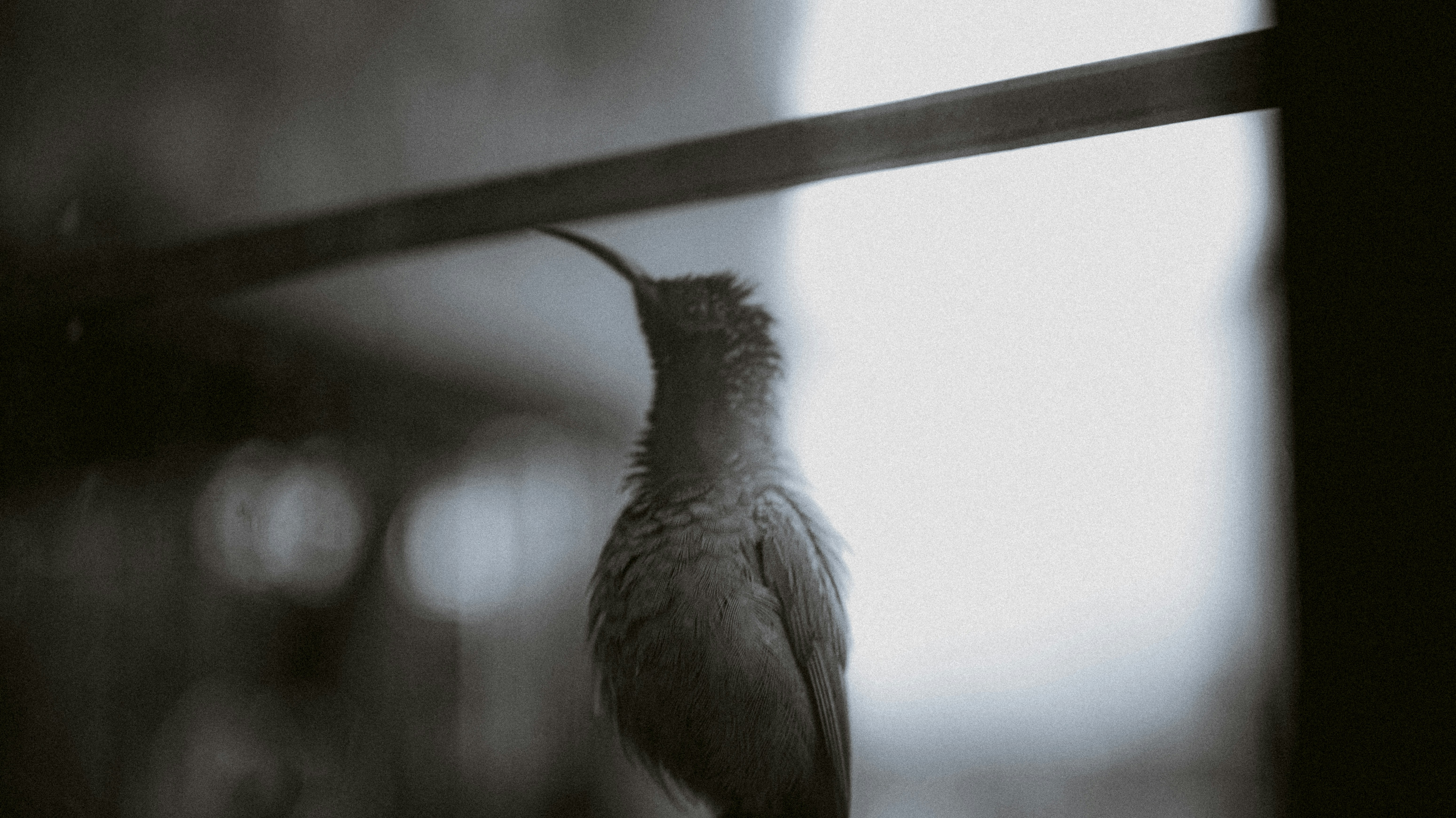 Photo by jealife_pictures