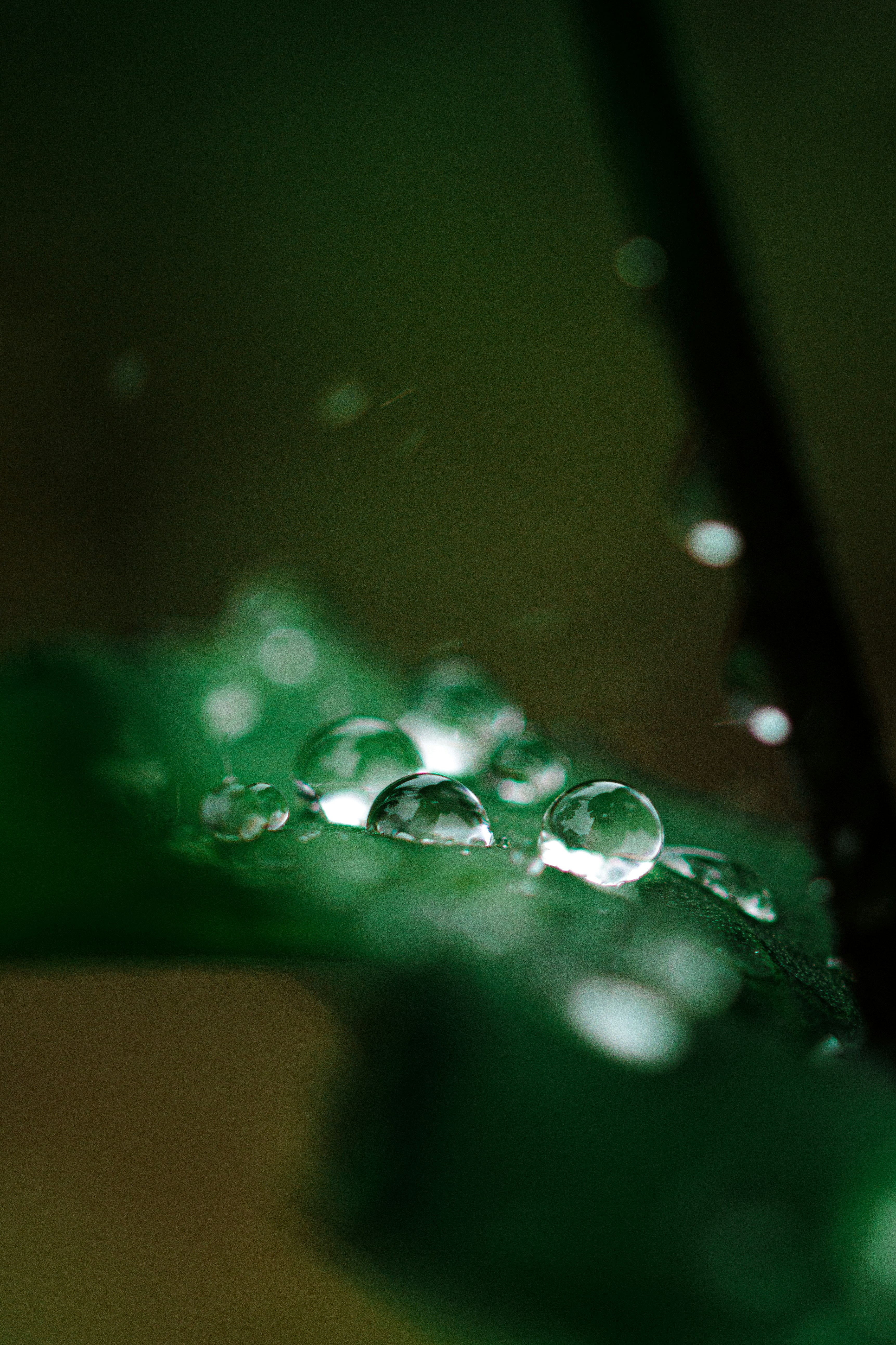 Photo by jealife_pictures