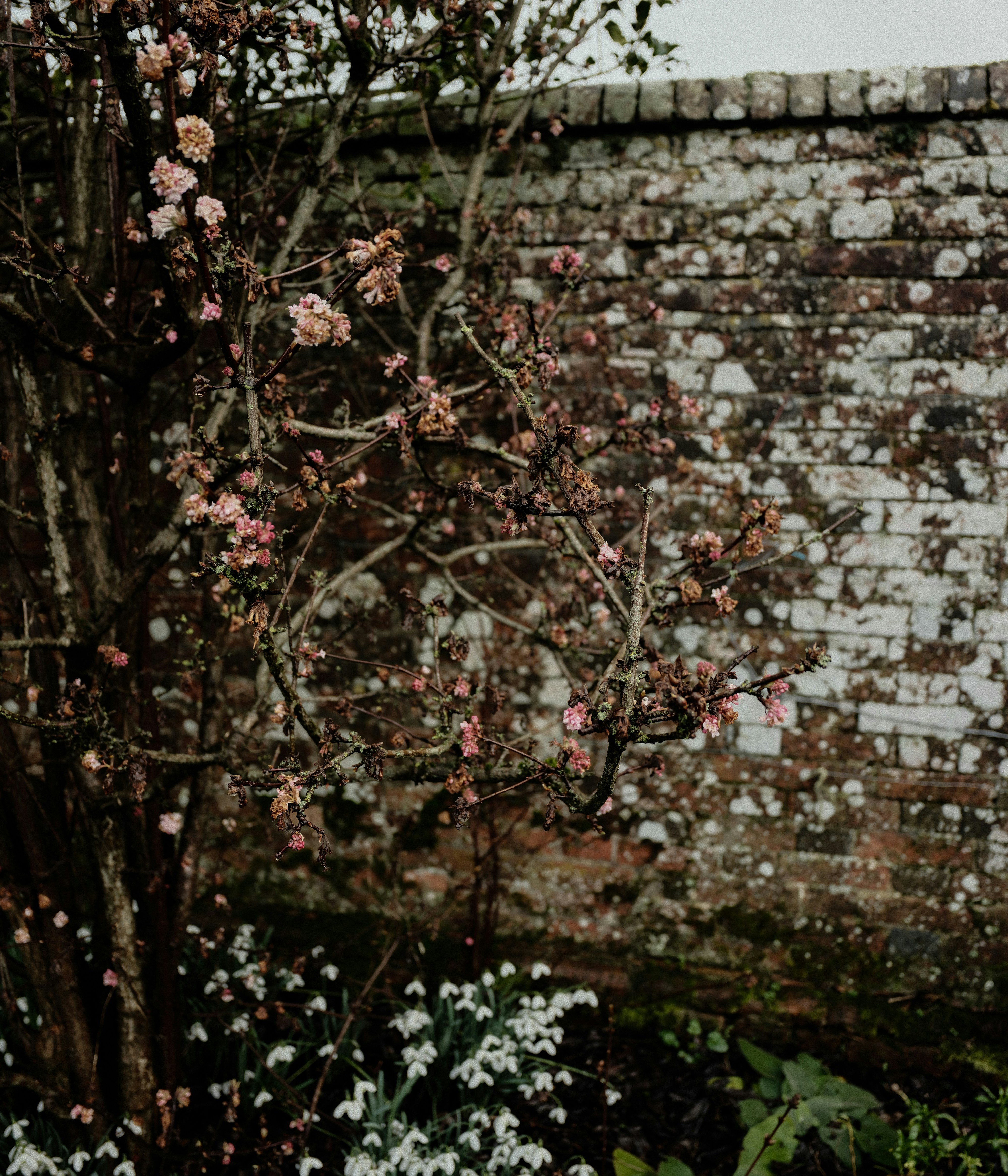 Photo by tanyabarrow