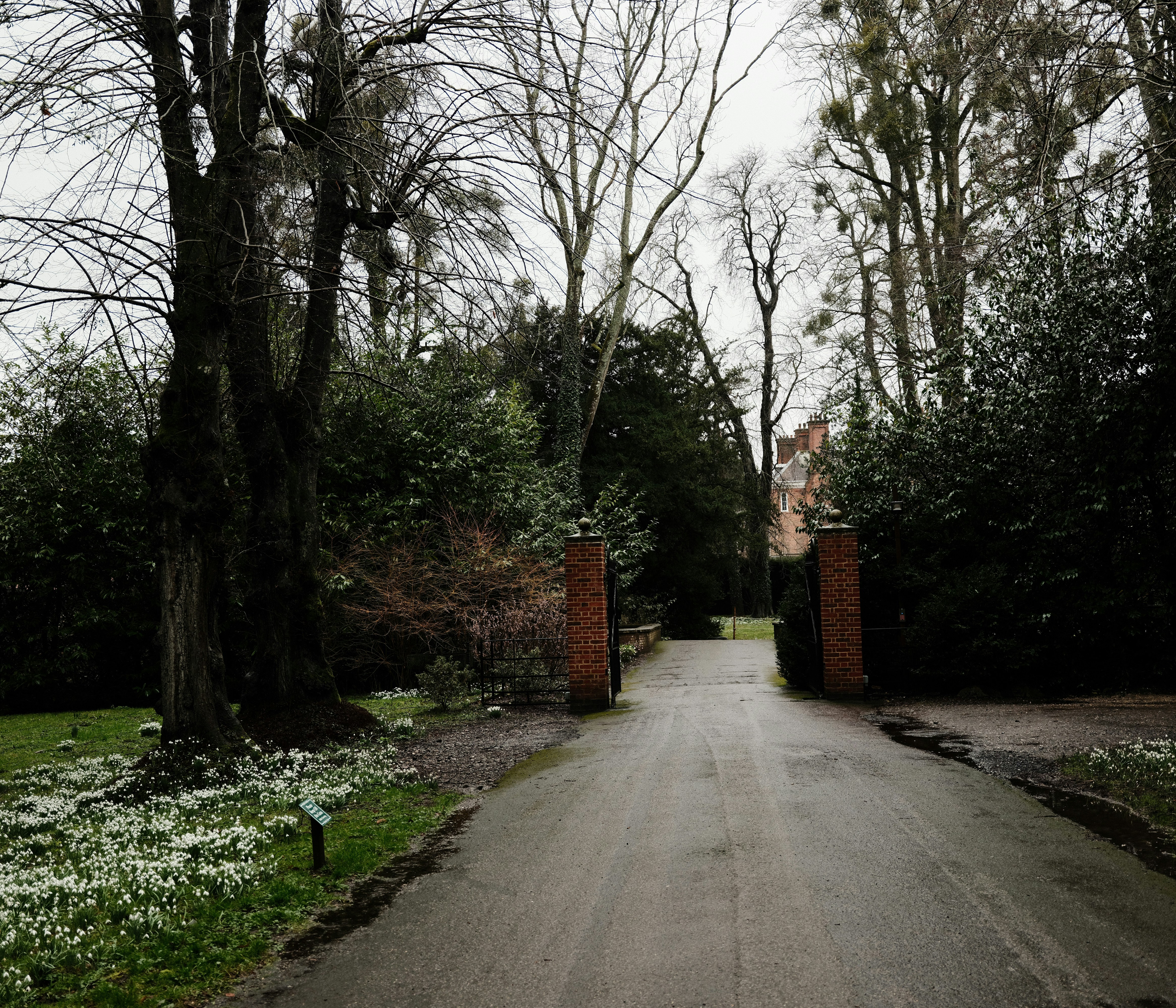 A wet pathway leads to a brick gate and building.
