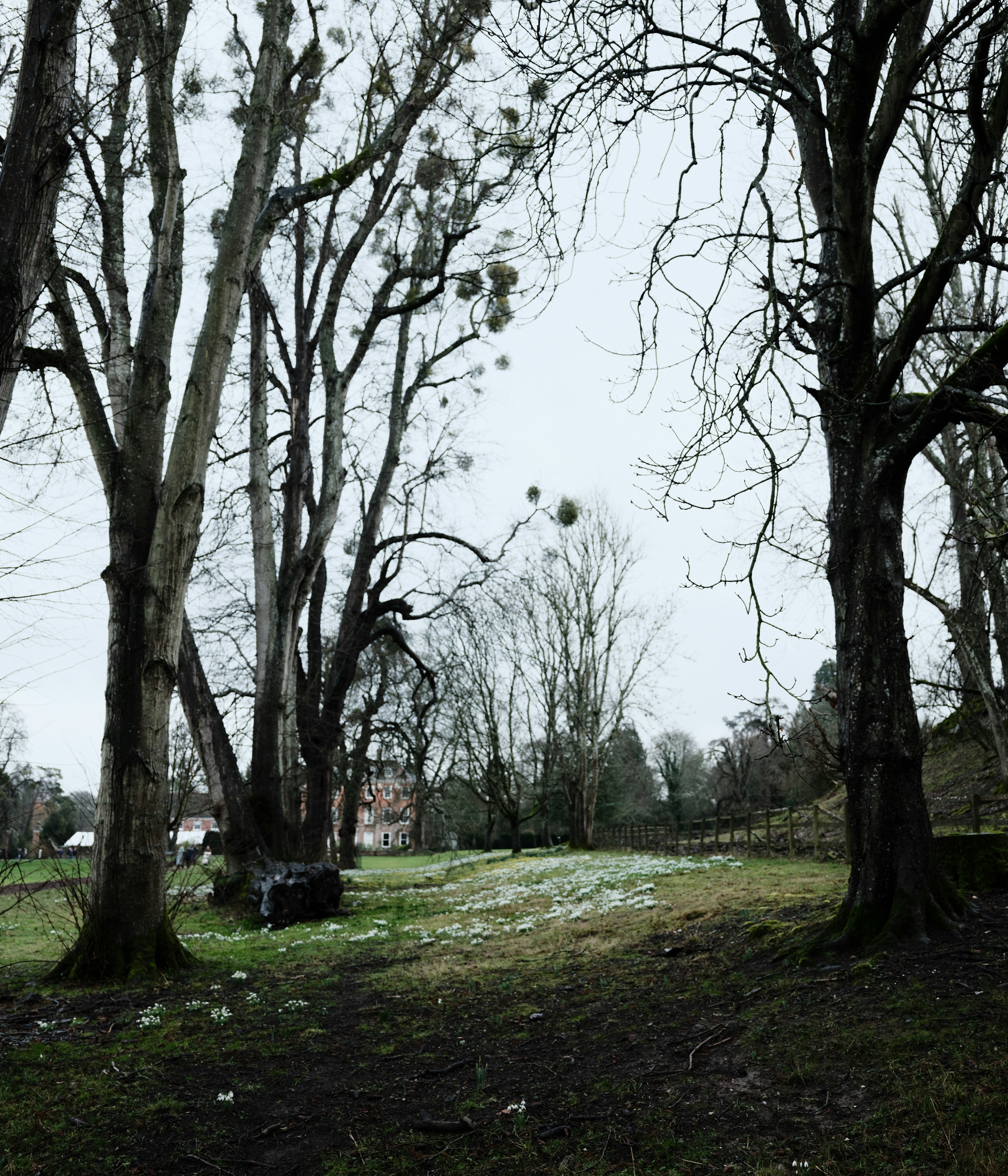 Photo by tanyabarrow