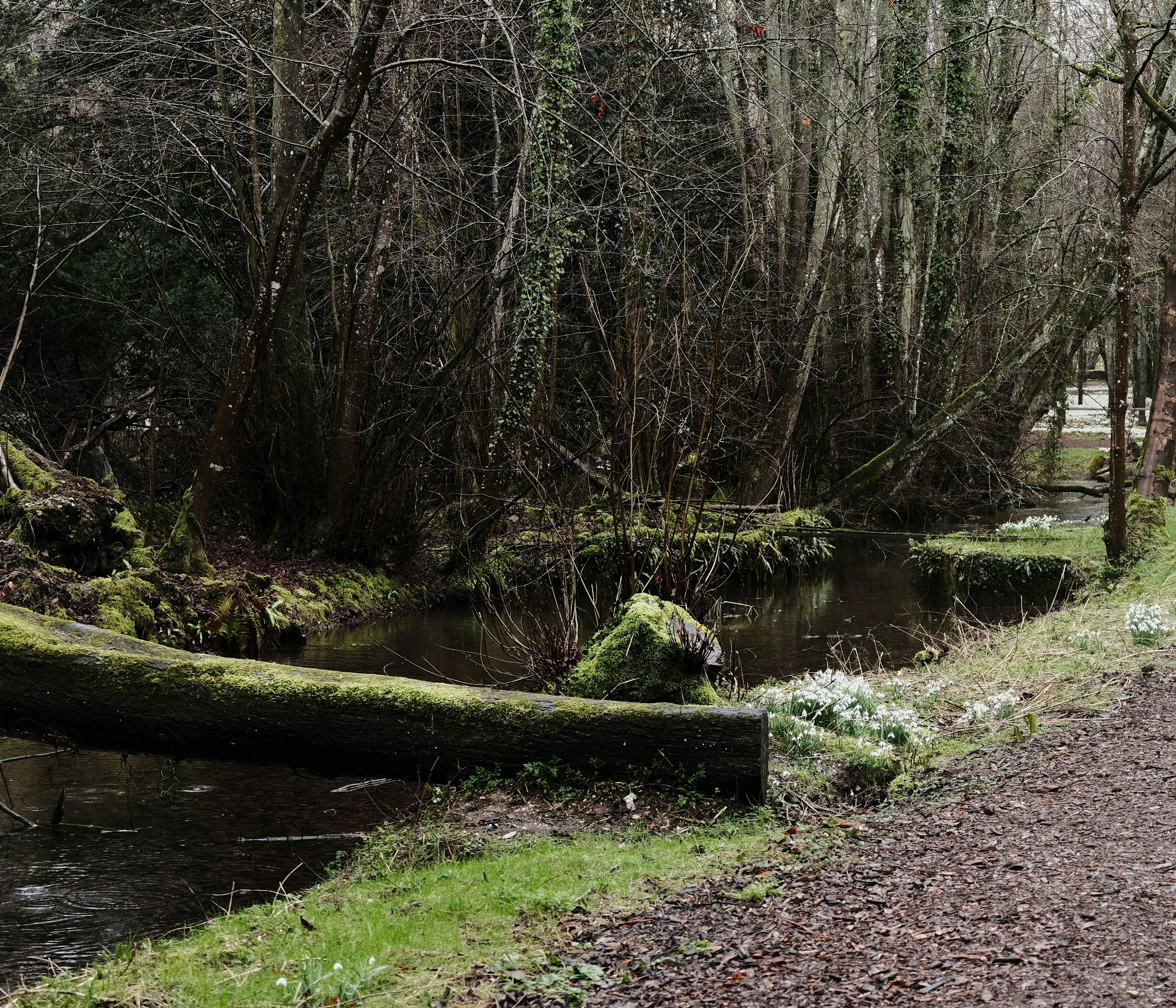 Photo by tanyabarrow