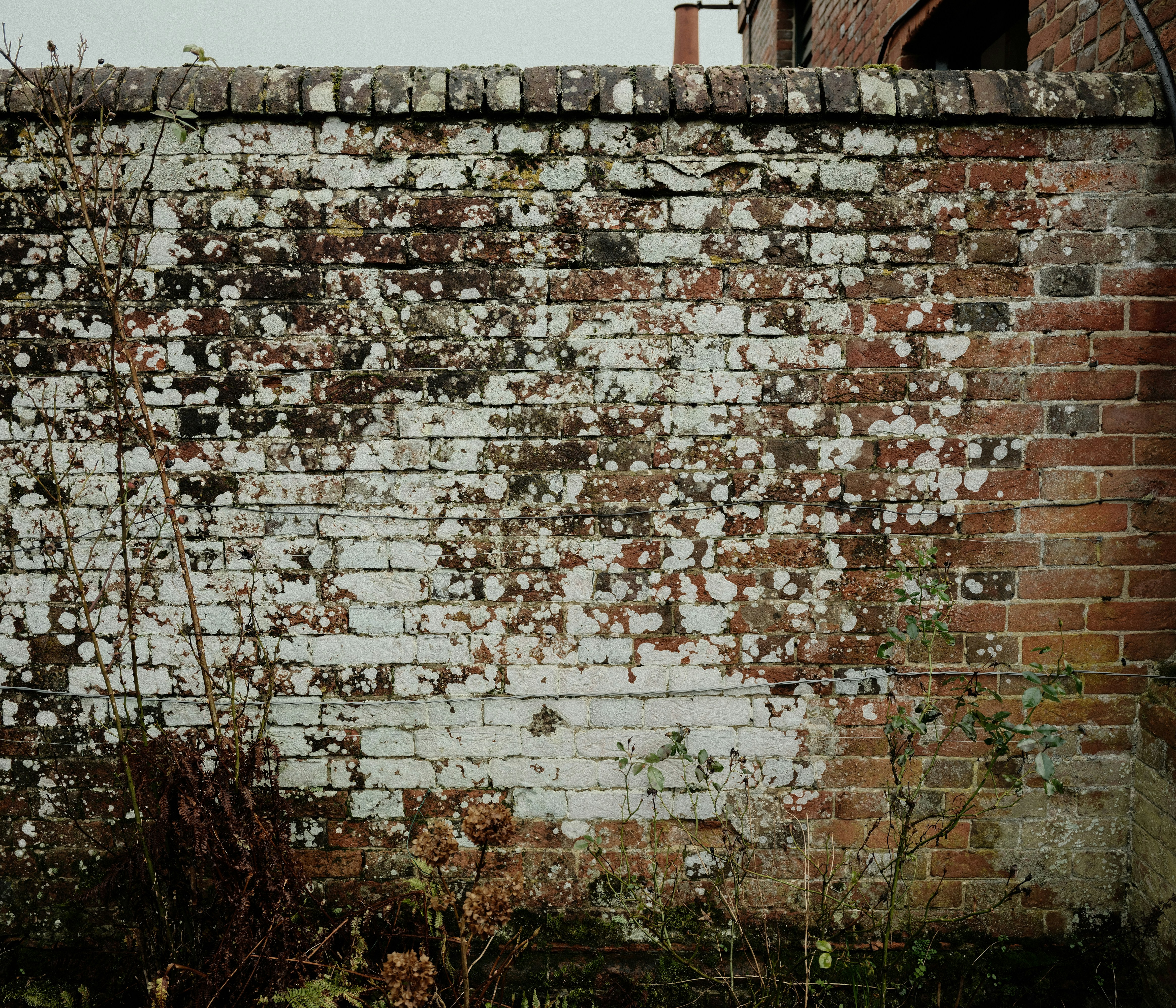 Photo by tanyabarrow