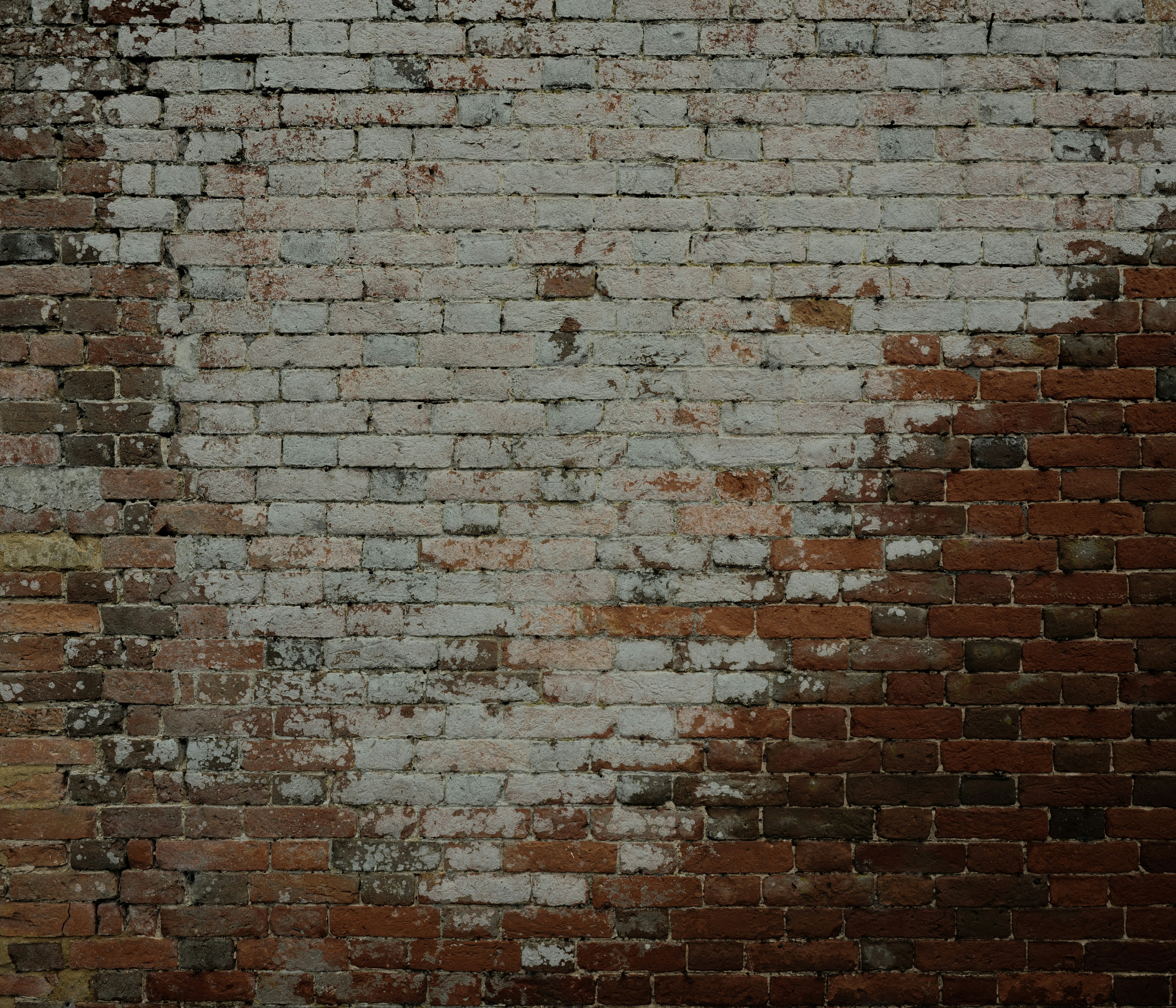 Photo by tanyabarrow