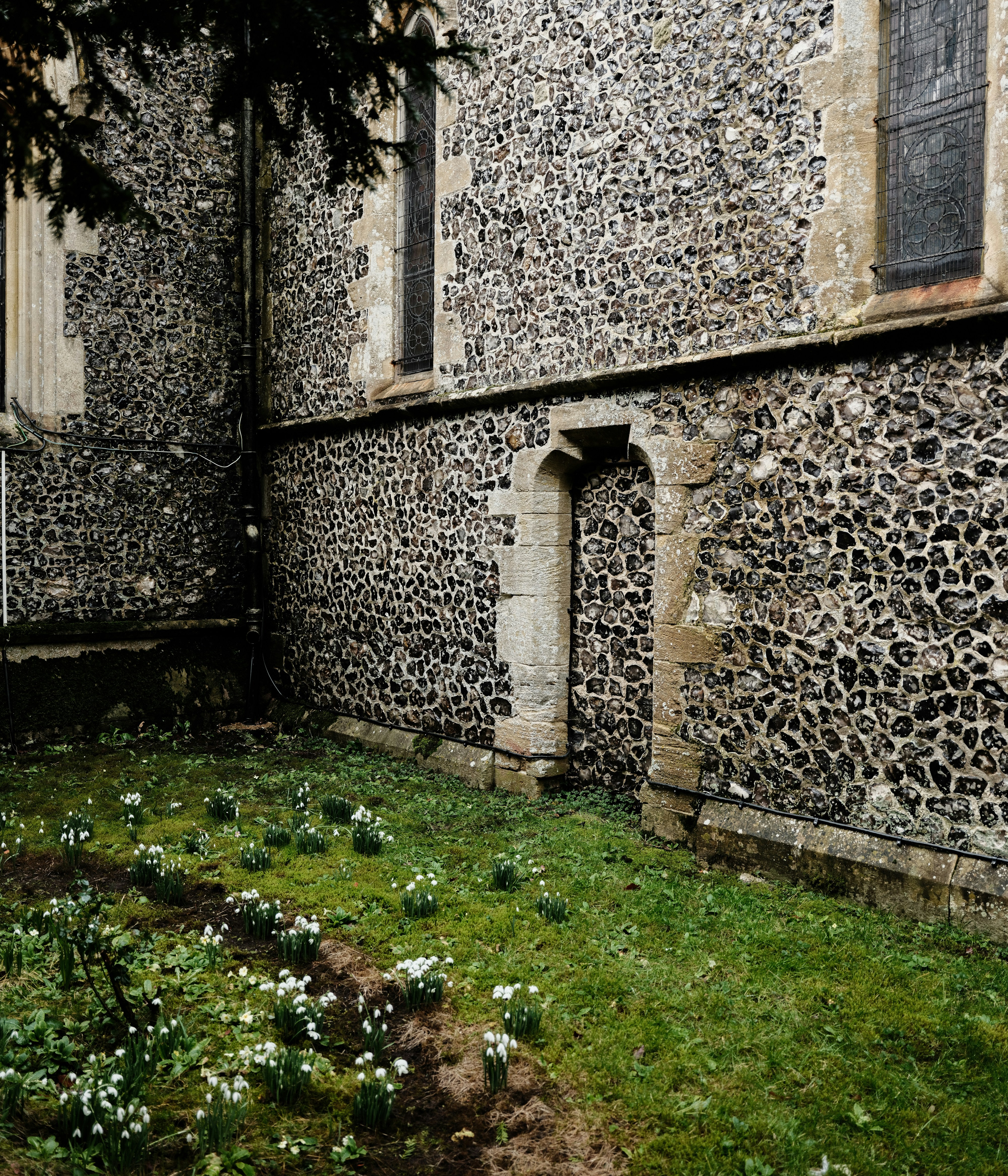 Photo by tanyabarrow