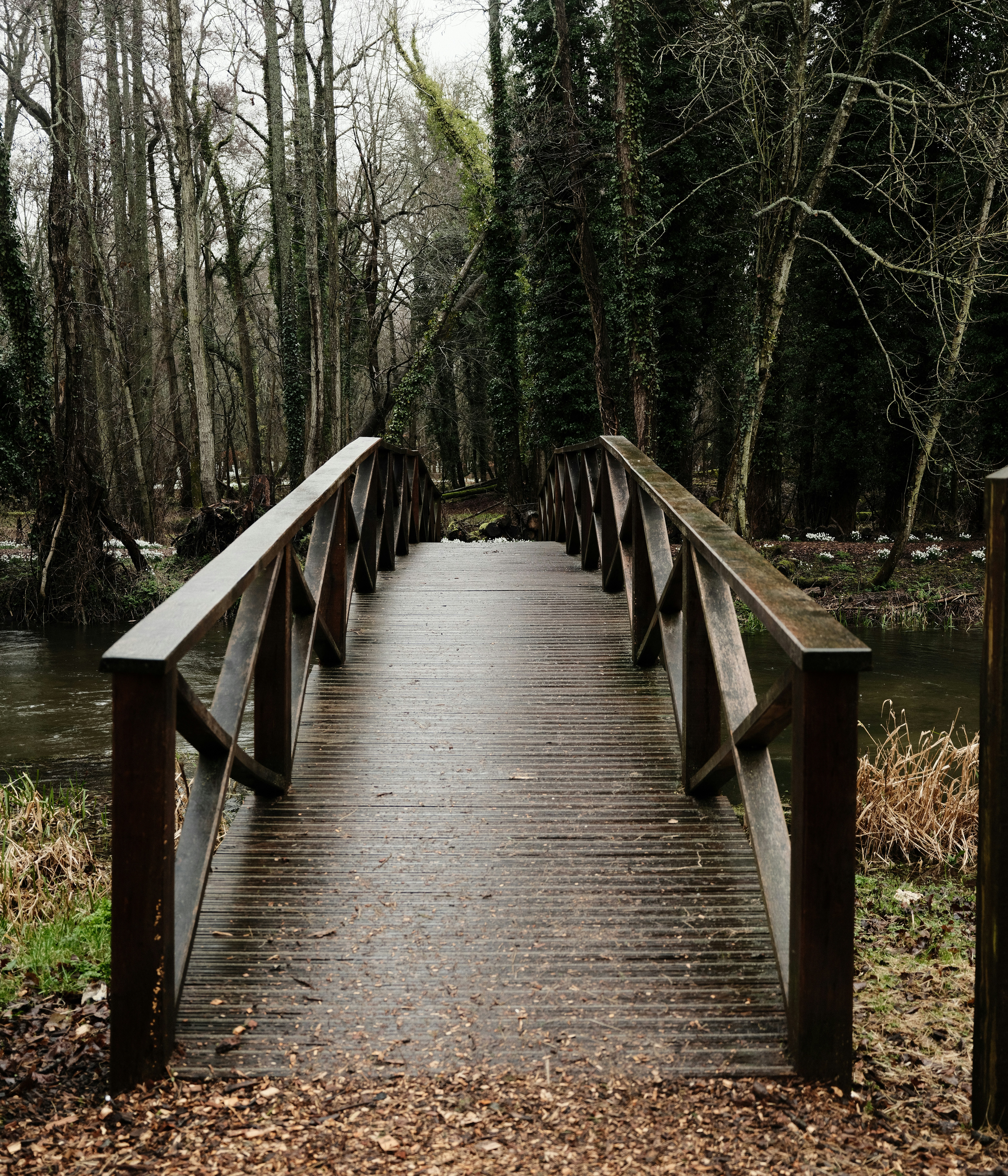 Photo by tanyabarrow