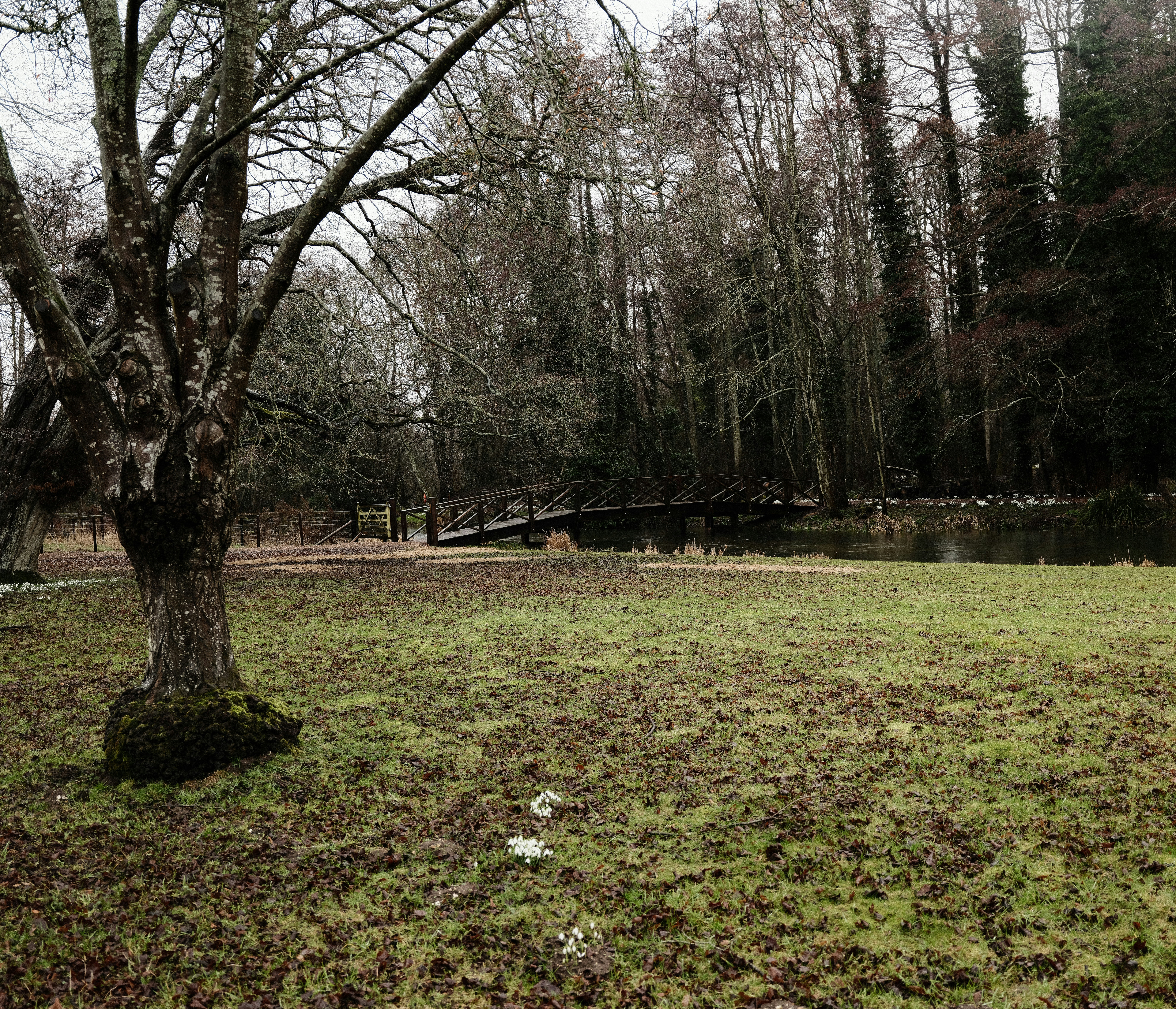 Photo by tanyabarrow