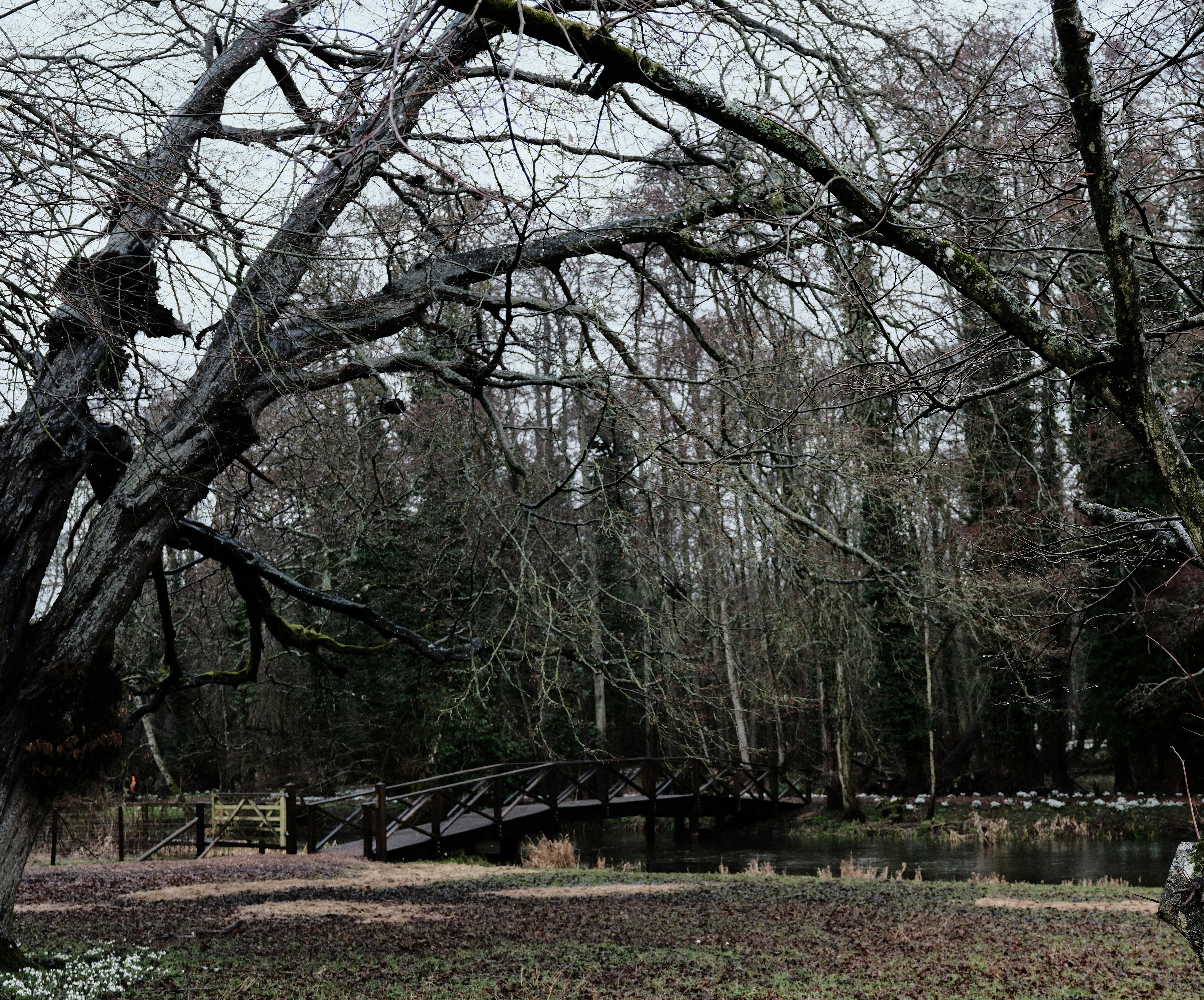 Photo by tanyabarrow