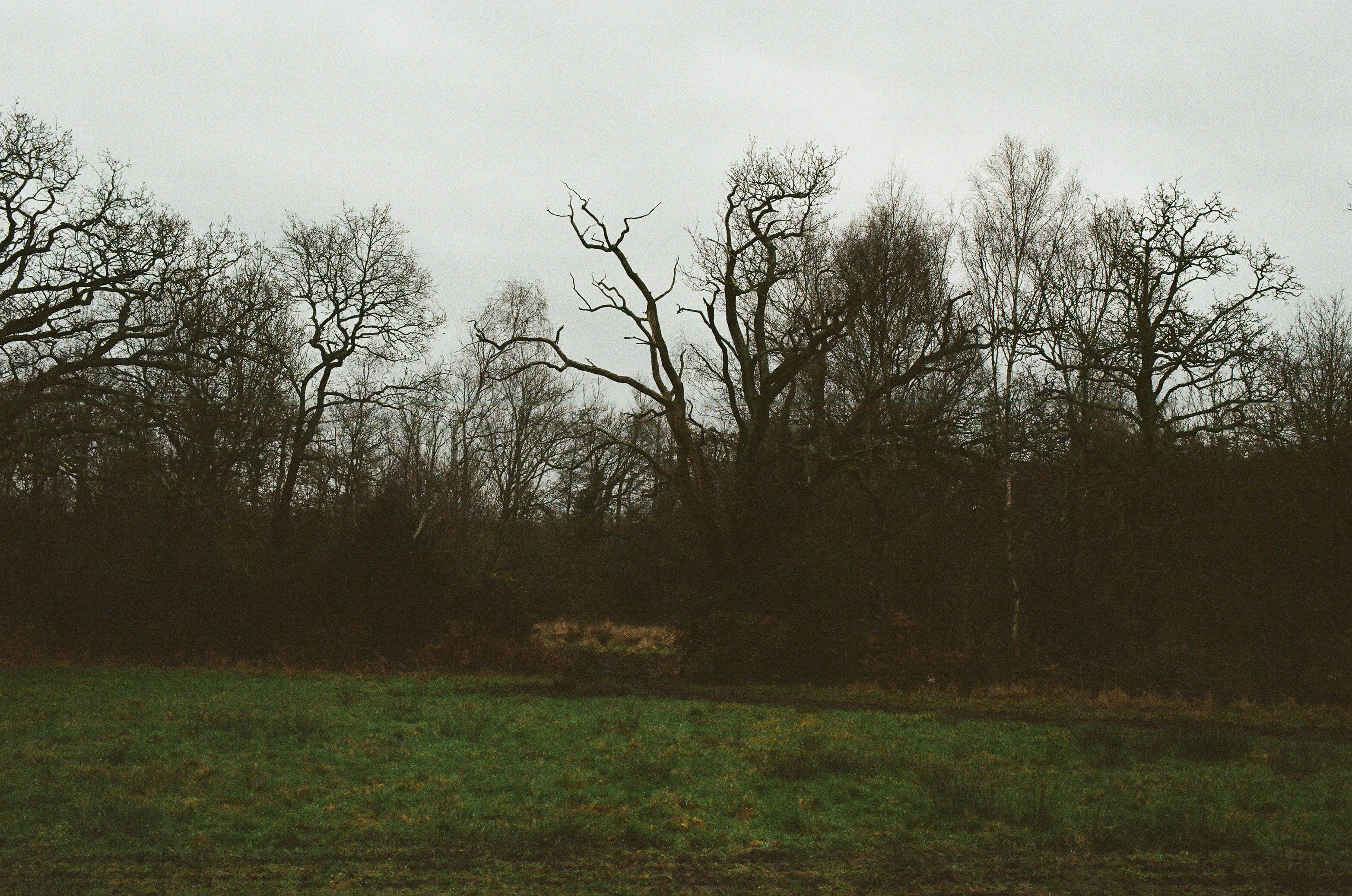 Photo by tanyabarrow