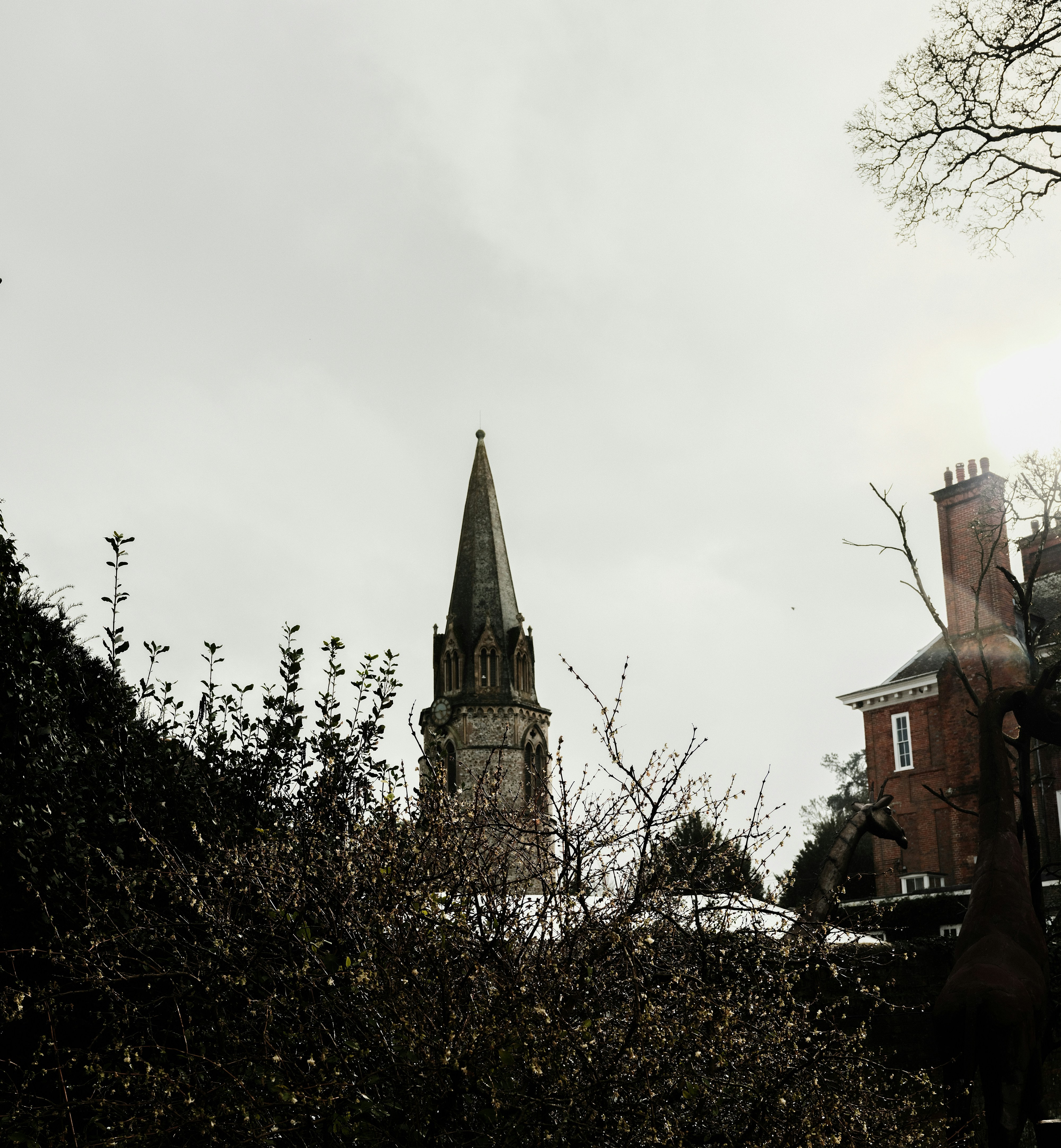 Photo by tanyabarrow