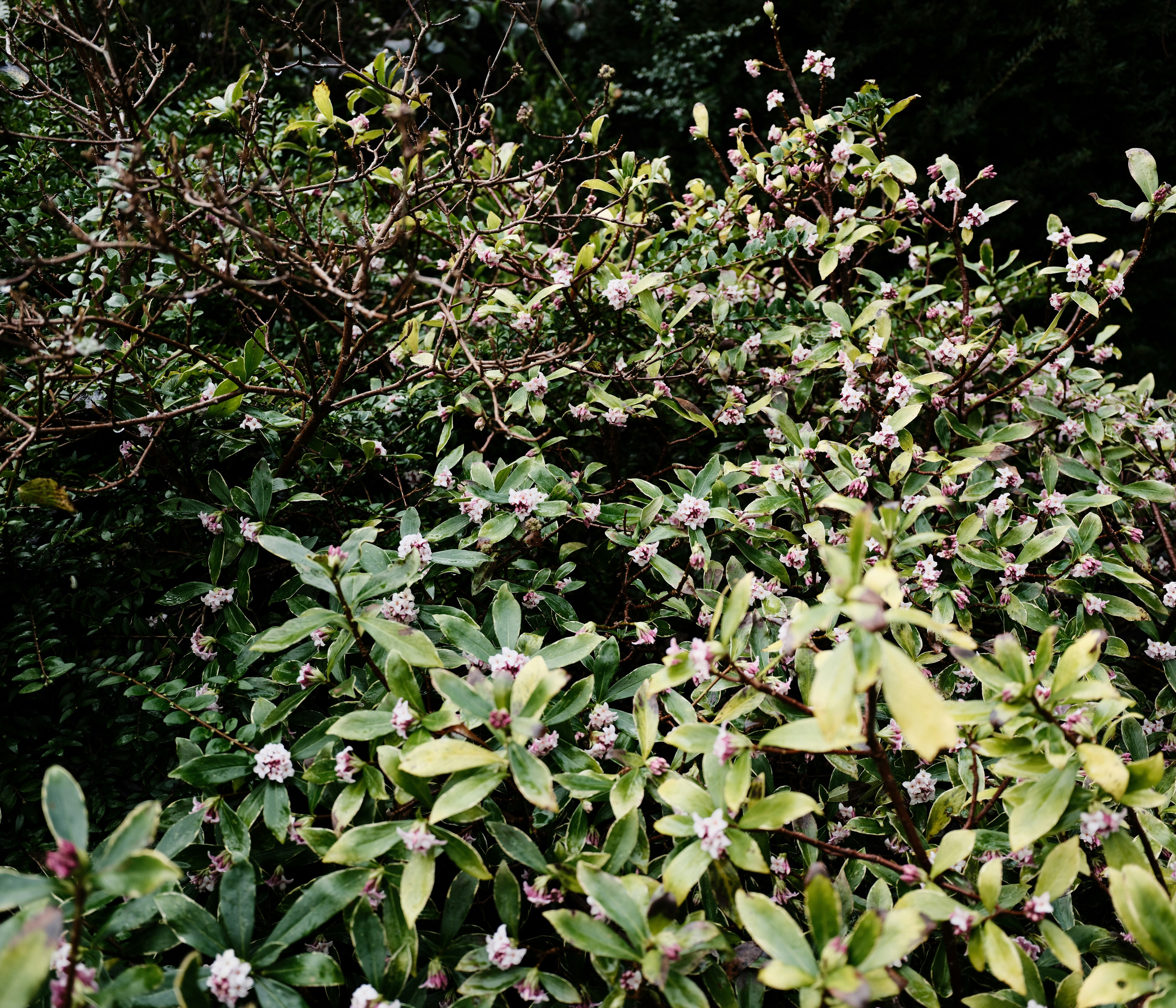 Photo by tanyabarrow