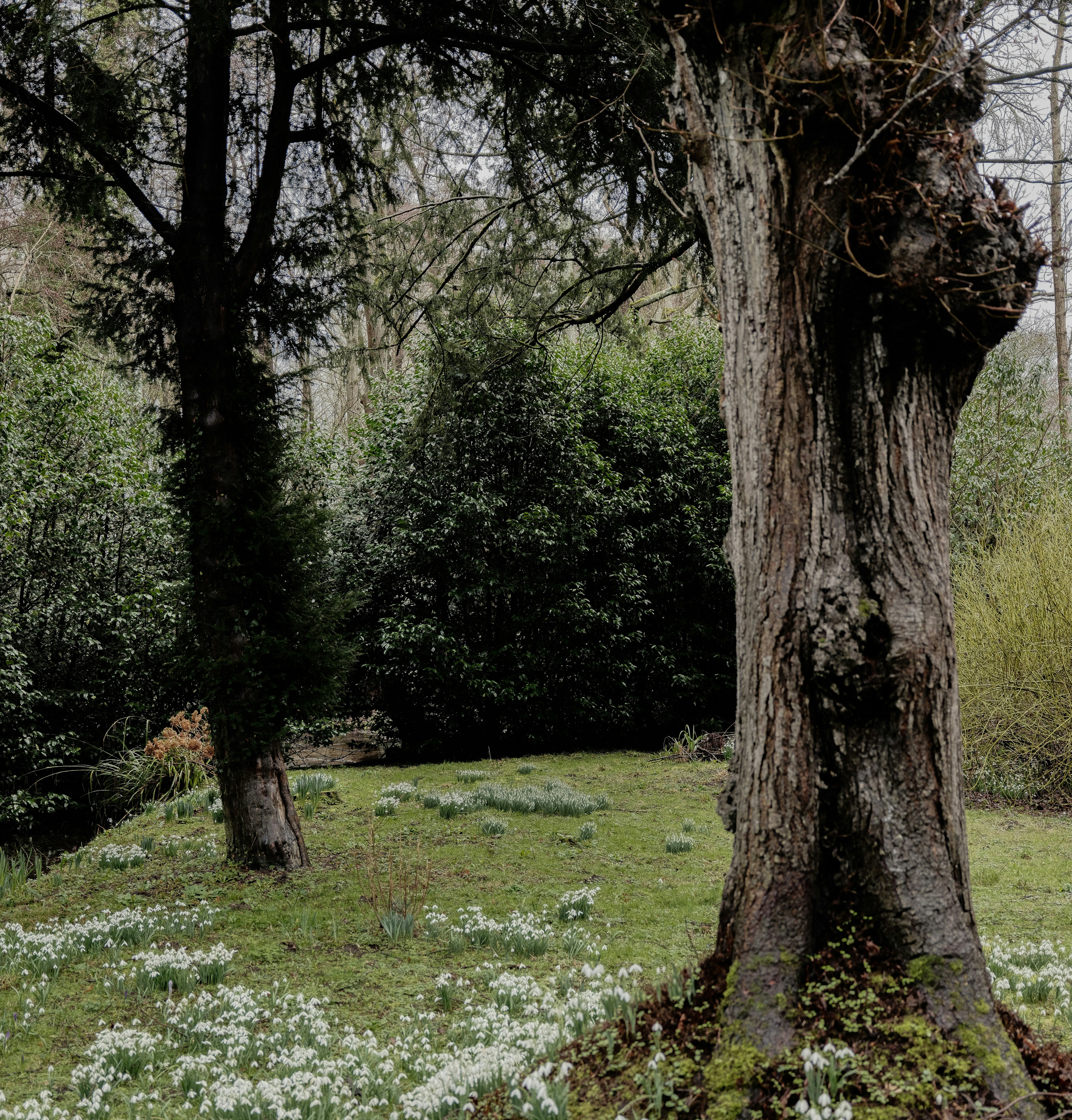 Photo by tanyabarrow