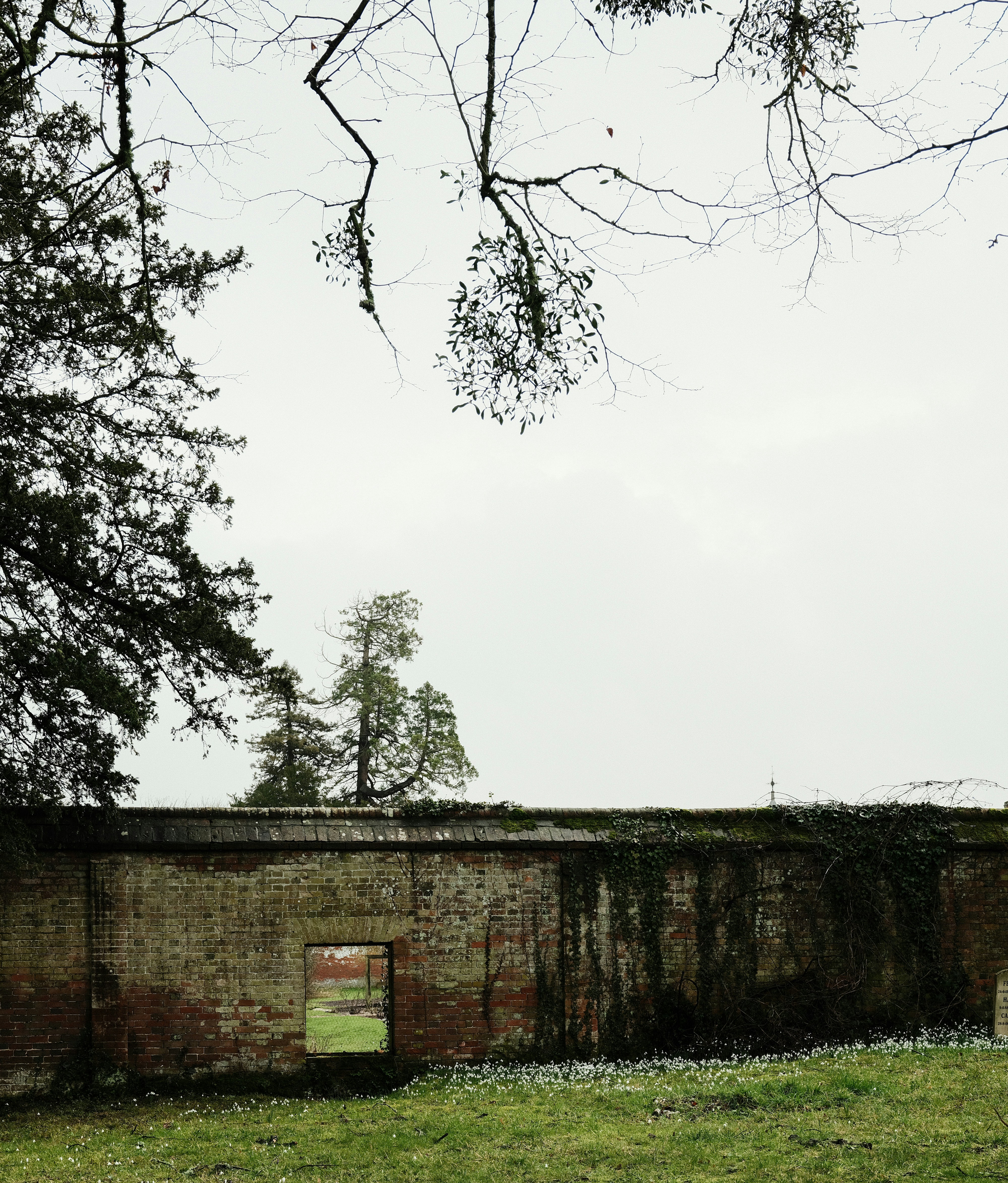 Photo by tanyabarrow