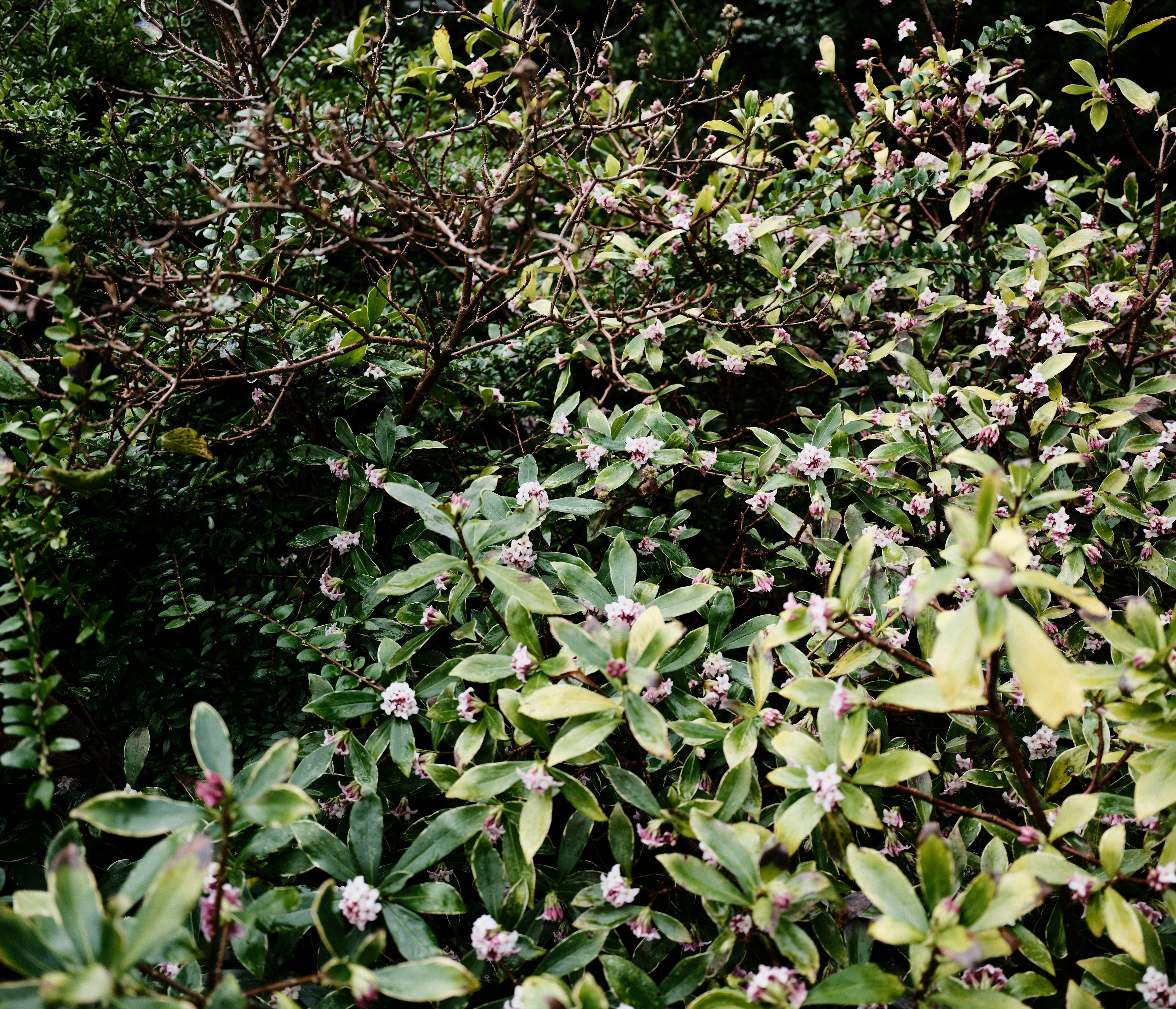 Photo by tanyabarrow