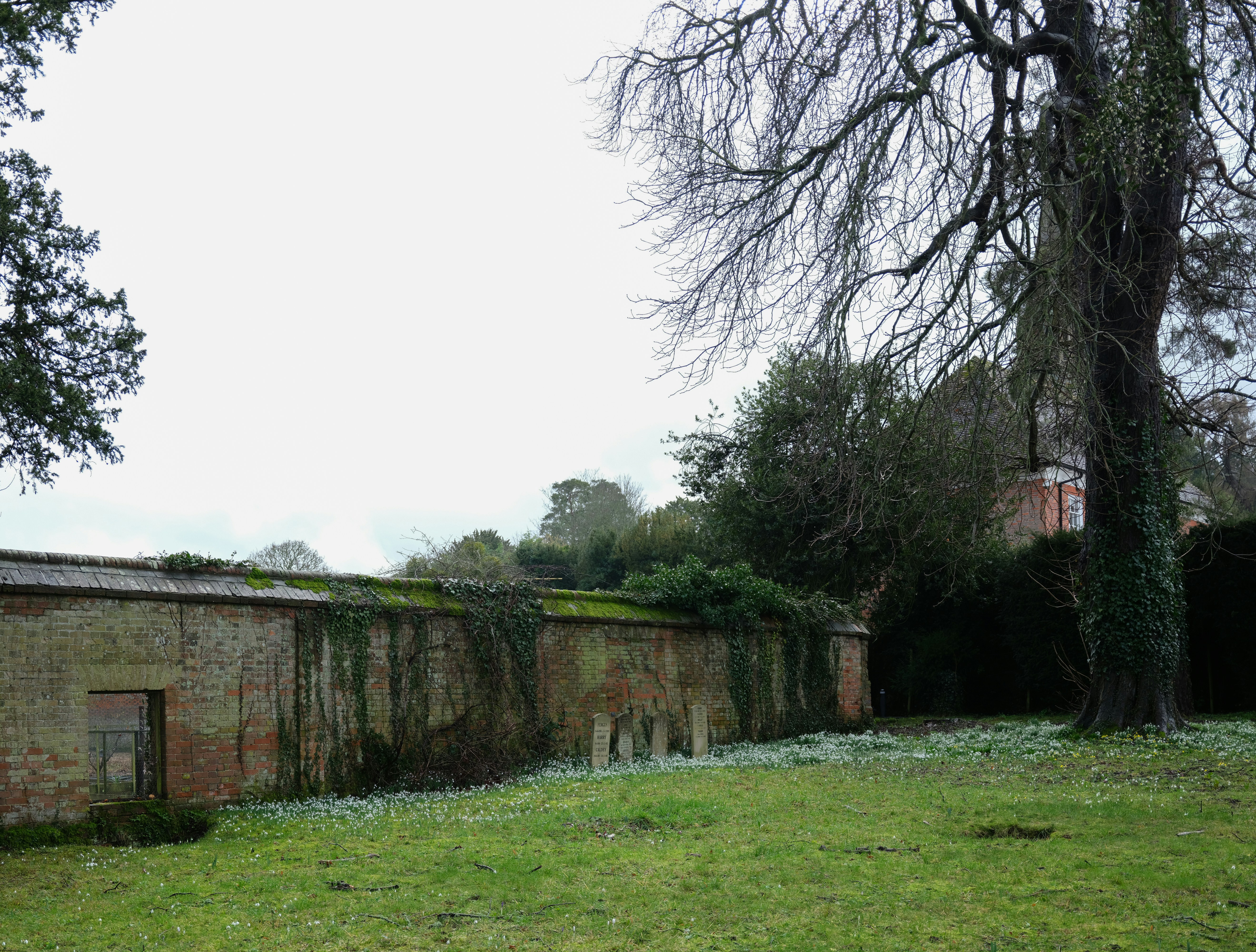 Photo by tanyabarrow