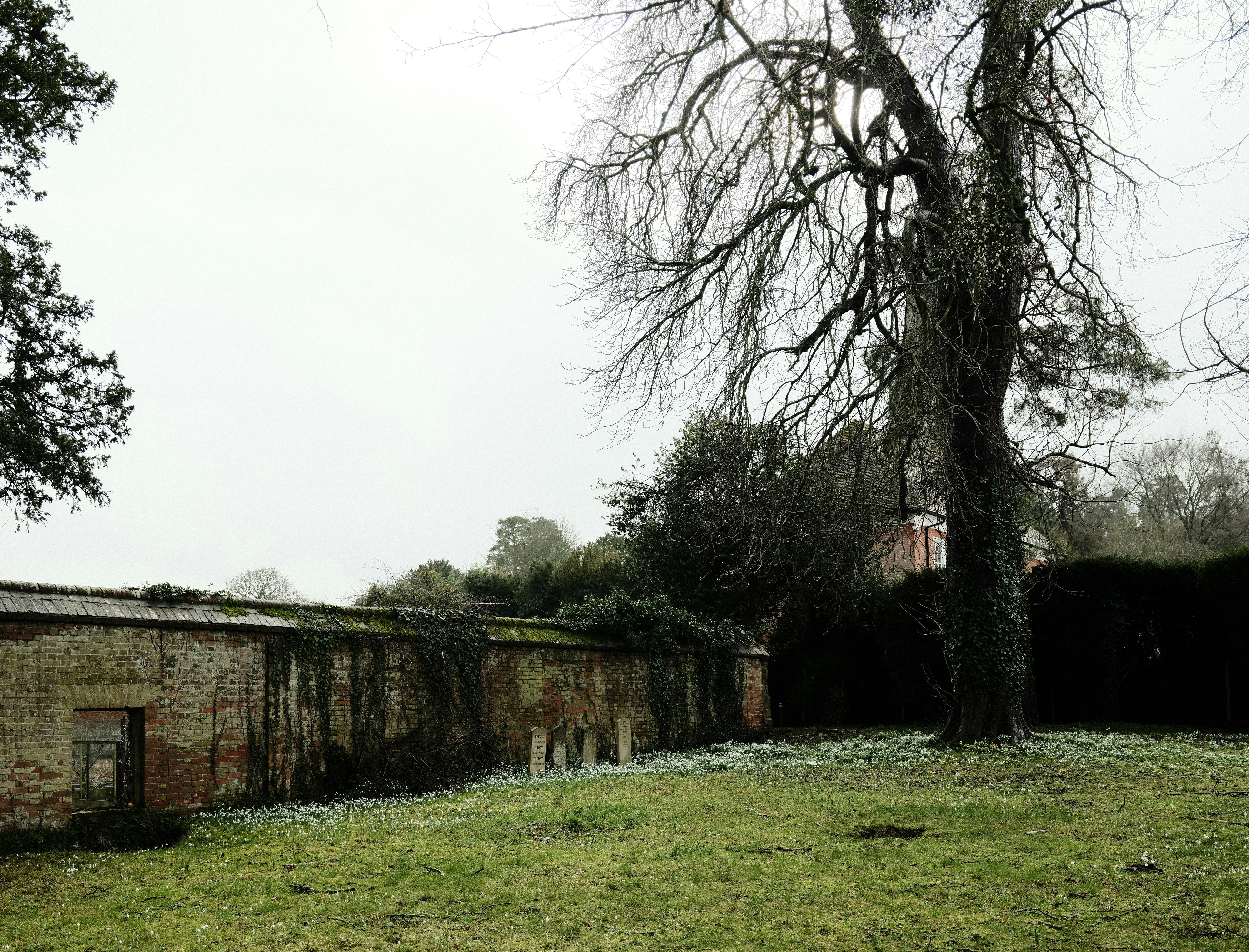 Photo by tanyabarrow