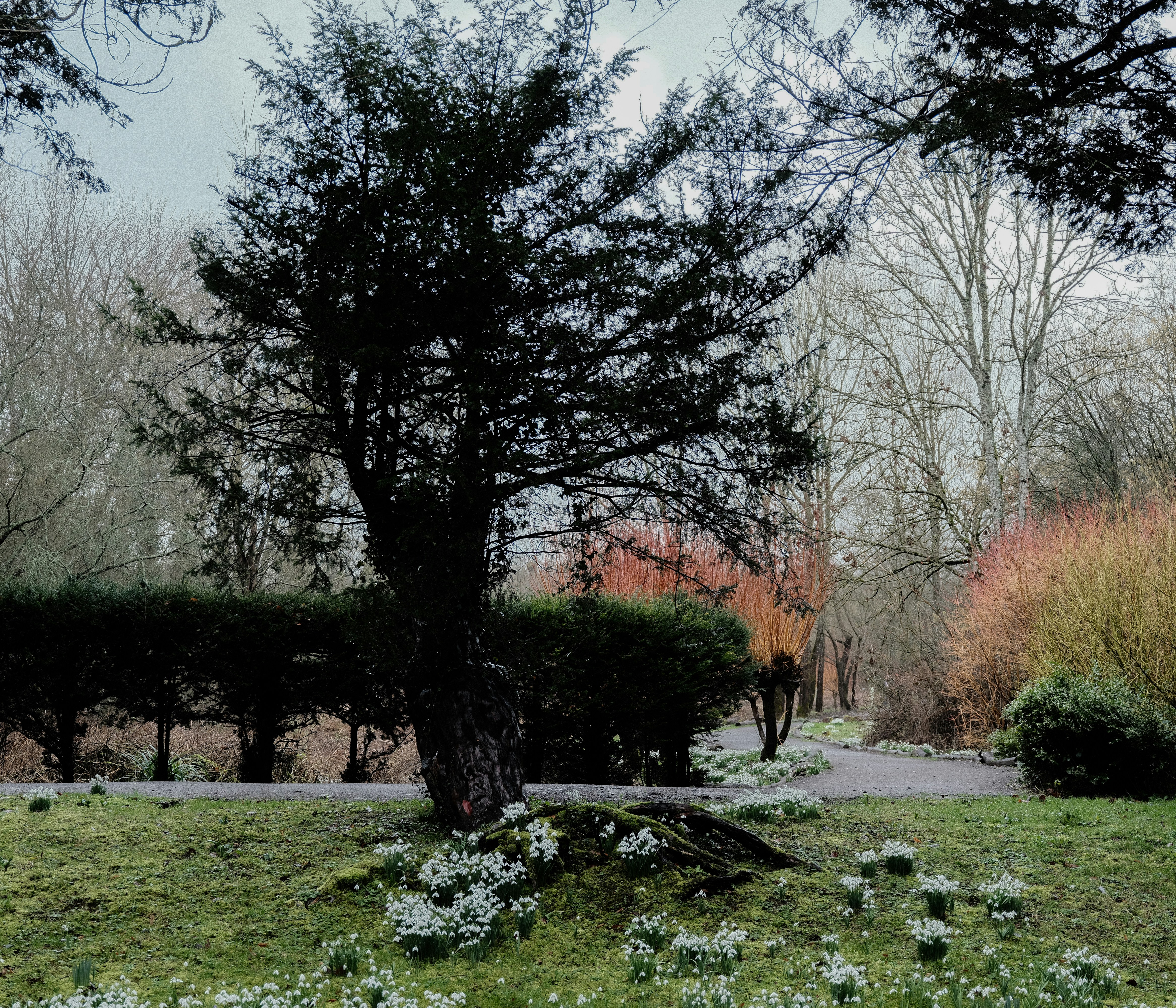 Photo by tanyabarrow