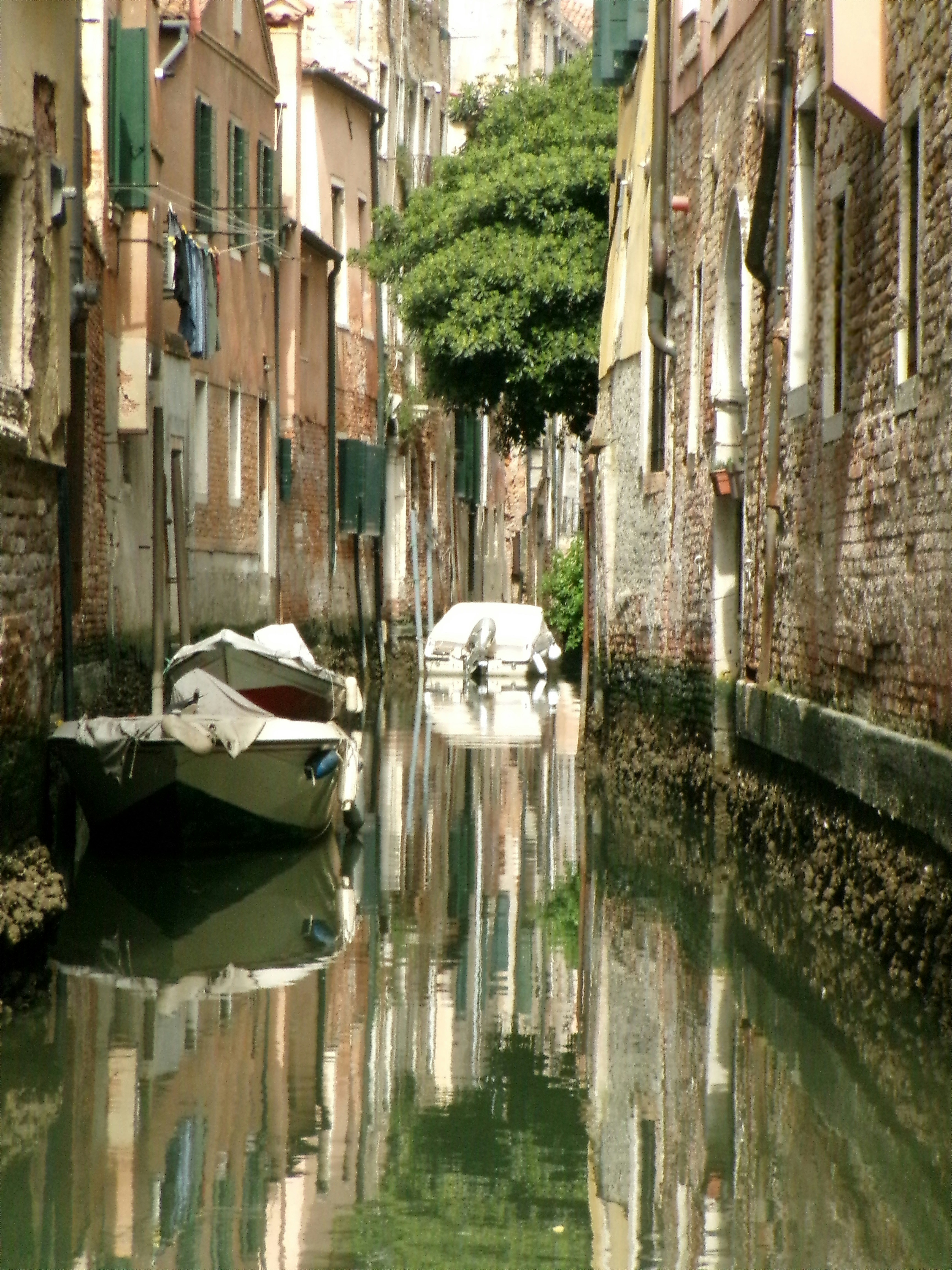 Photo by grigolomiguel