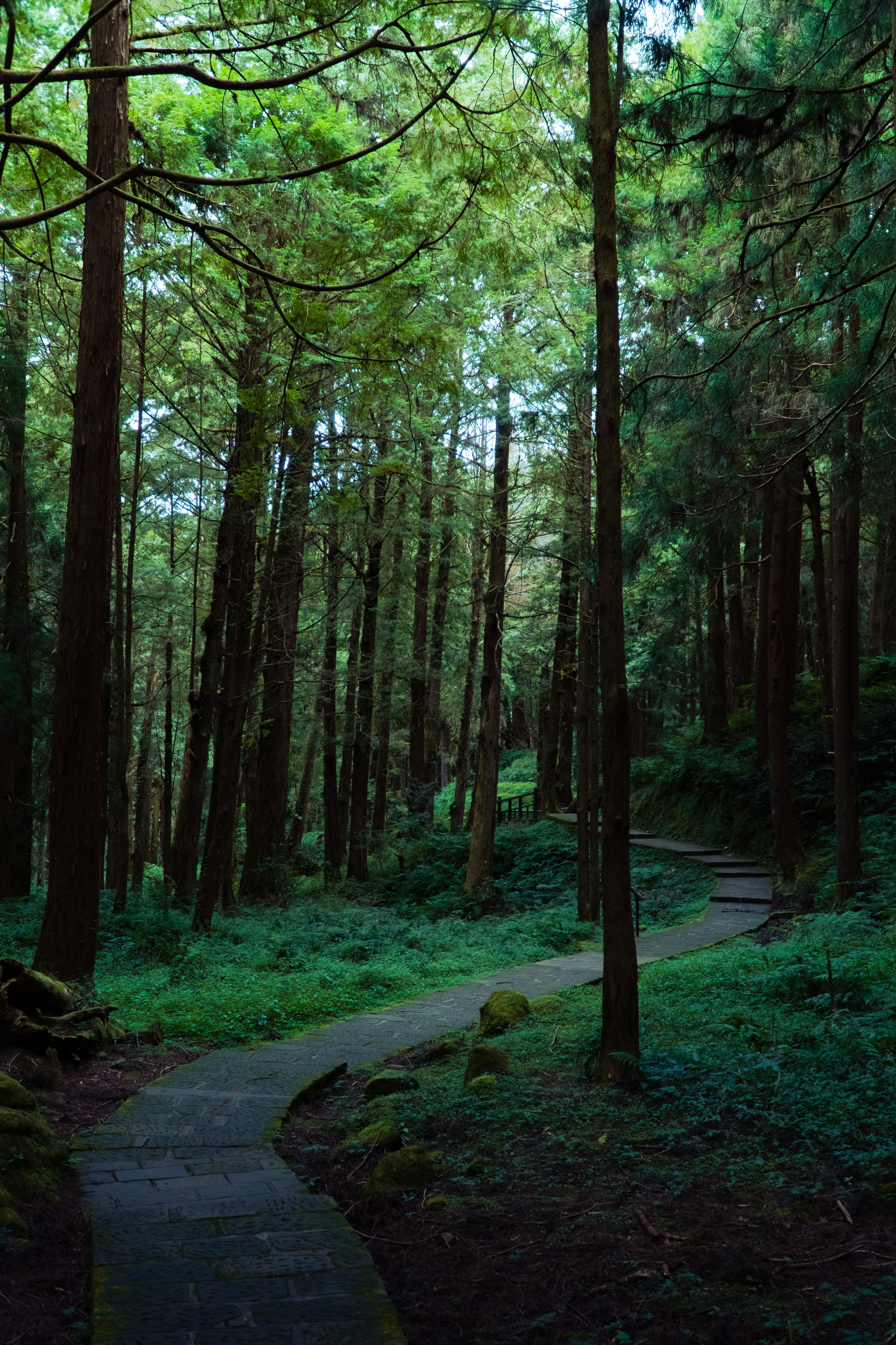 Photo by ivannavinni