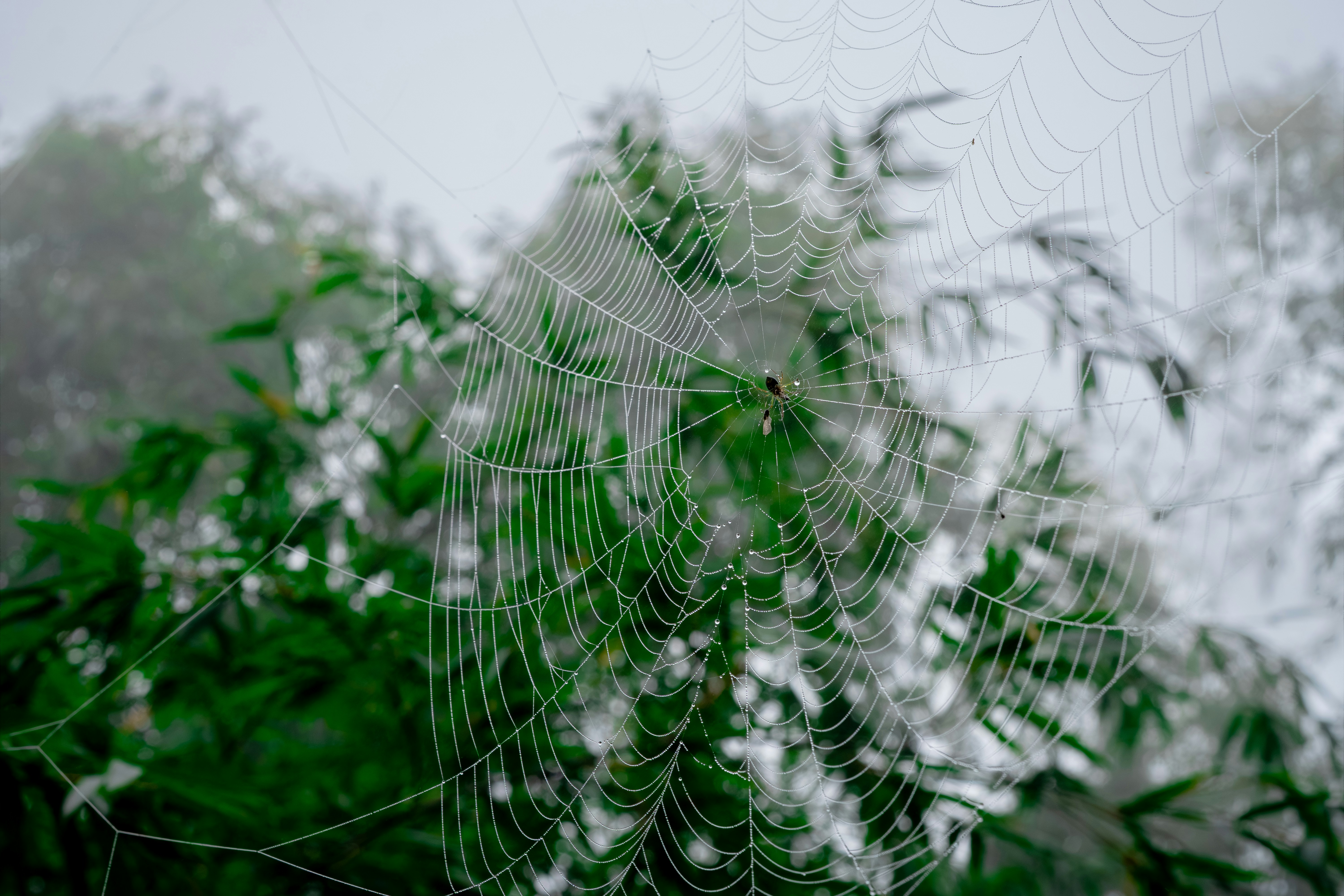 Photo by ivannavinni