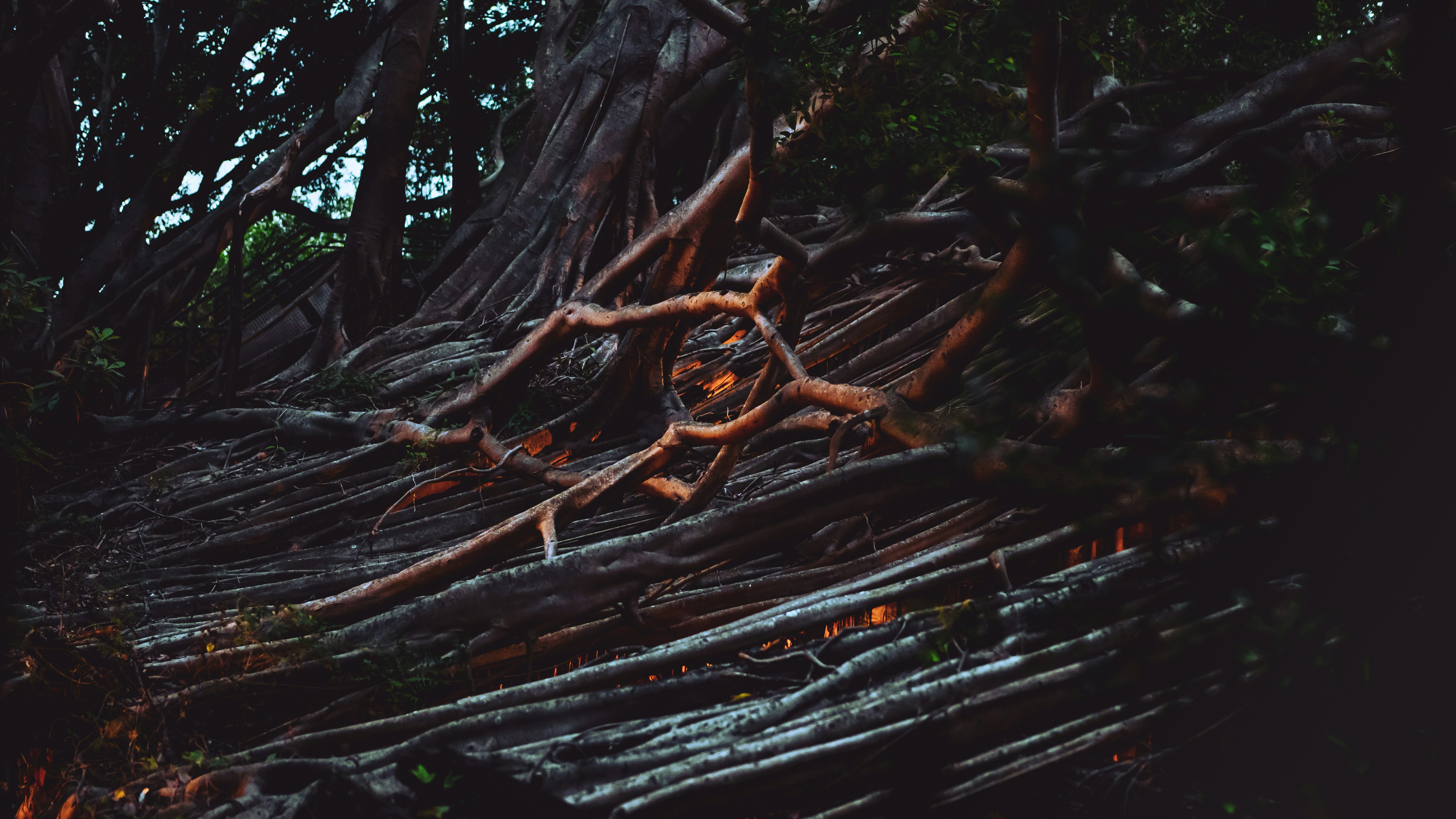 Photo by ivannavinni