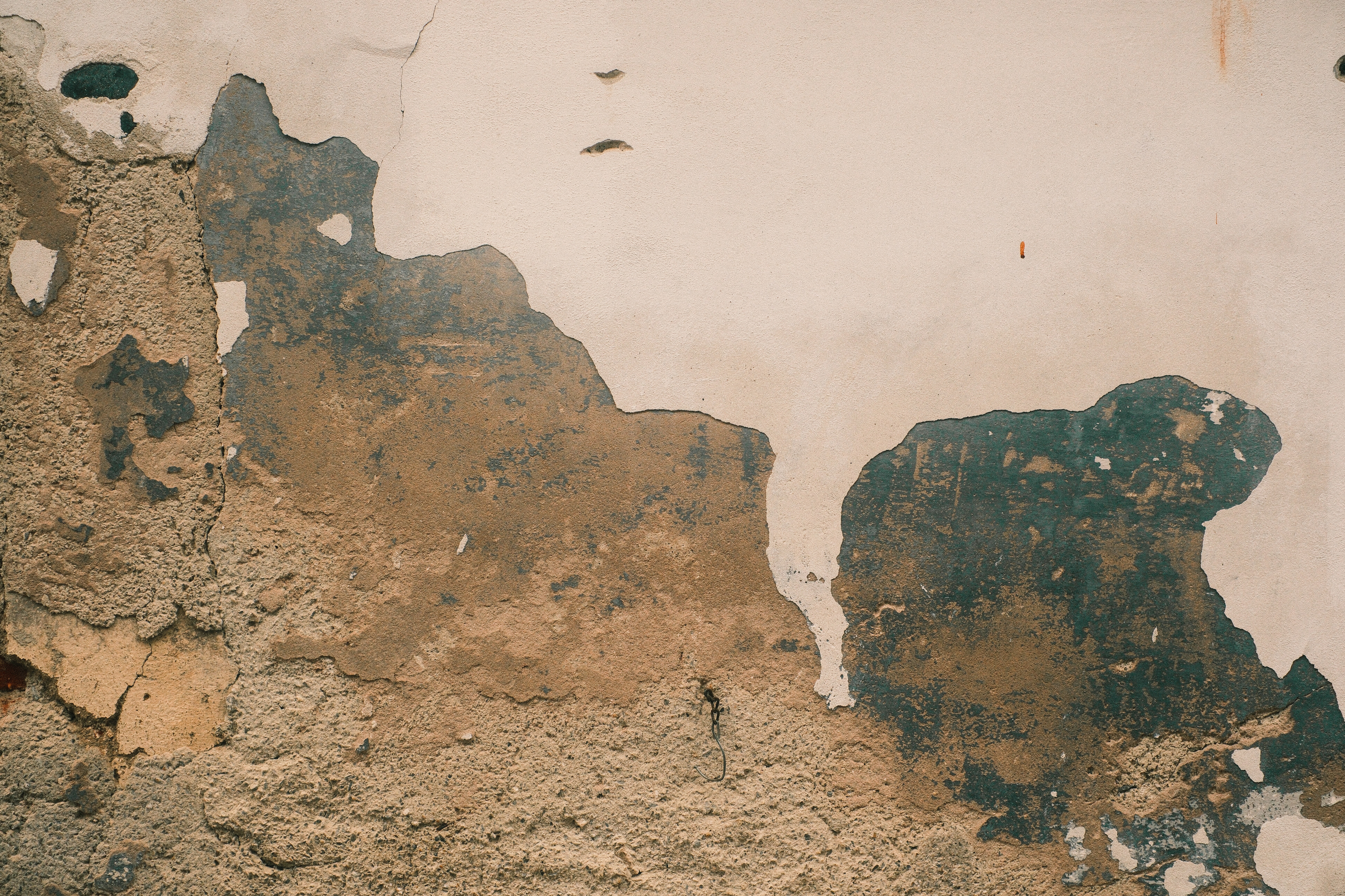 Photo by ginkgoshutter