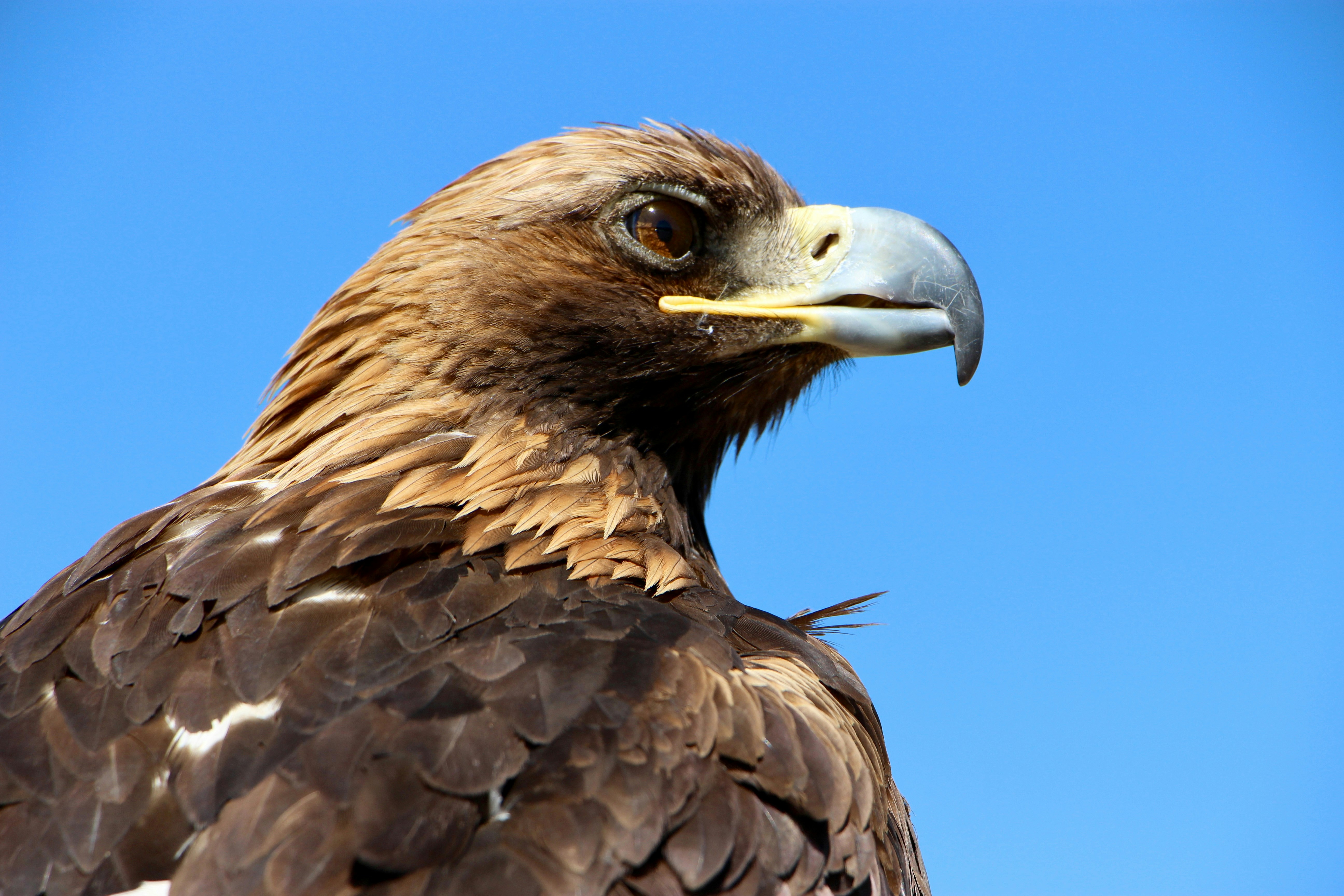 Photo by andreasfelske