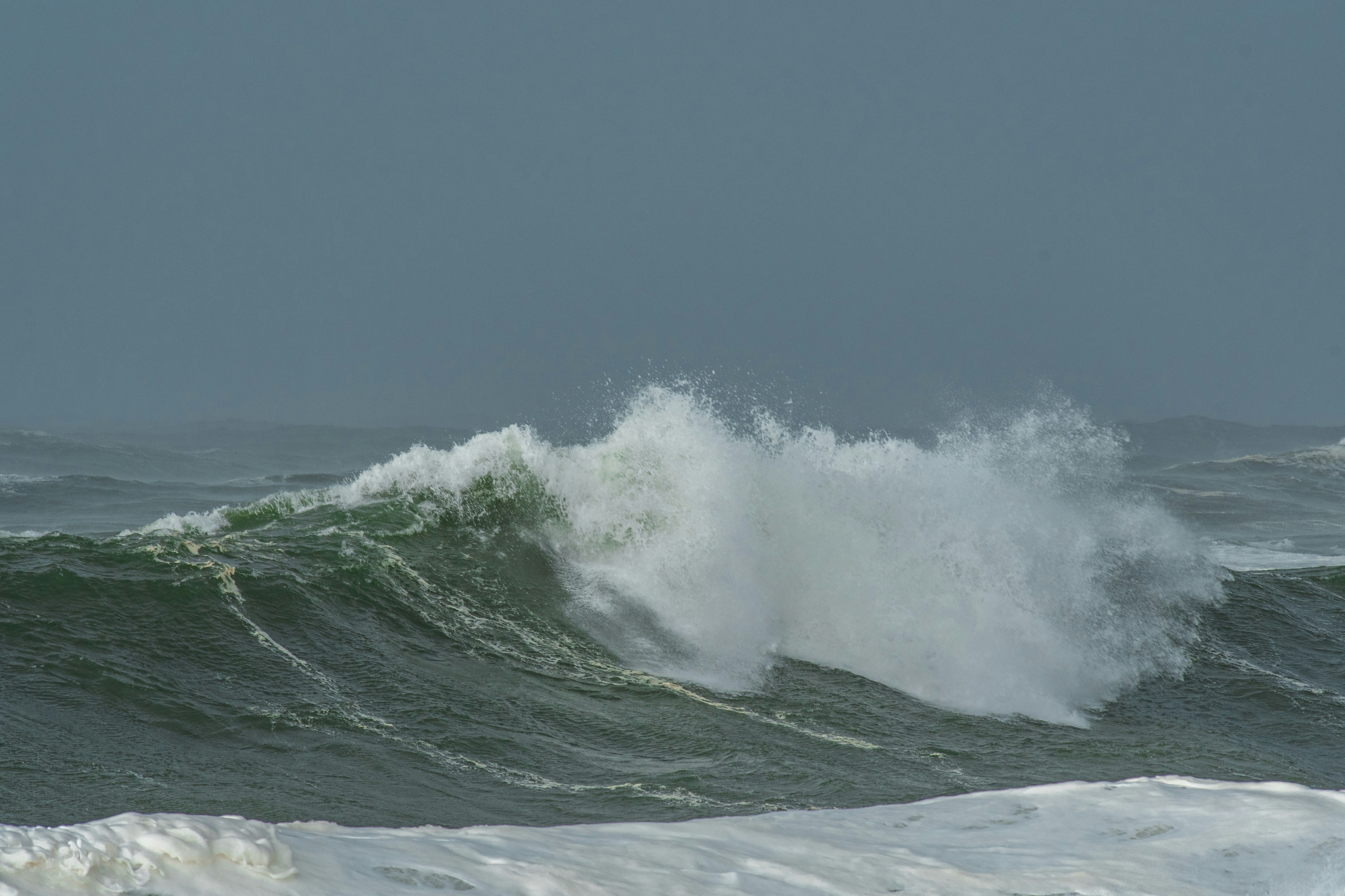 Photo by nataliaraylenegusakova