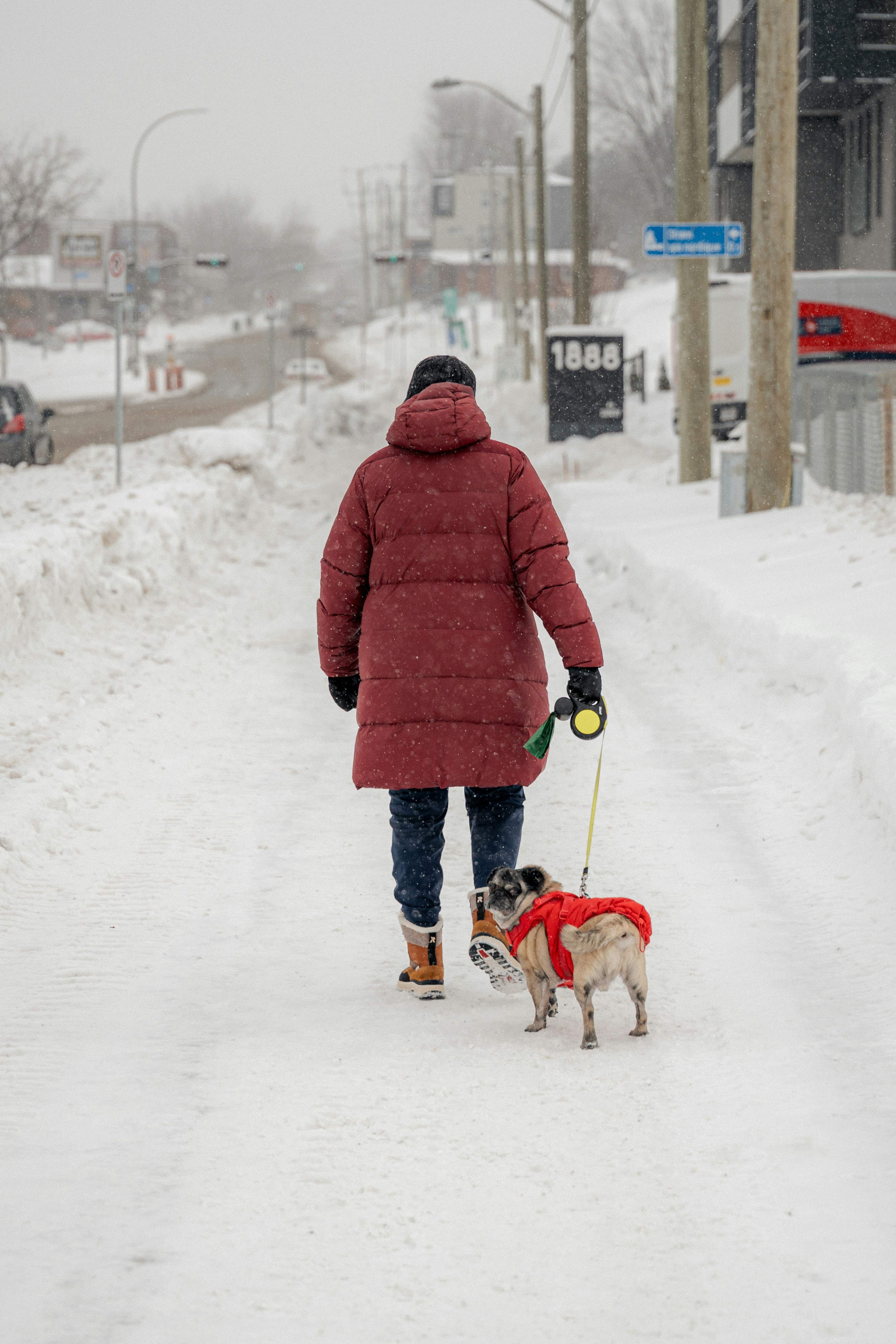 winter care