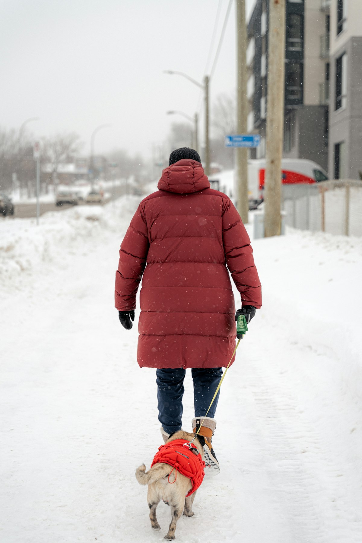 Person walking a pug in the snow on a cold winter day