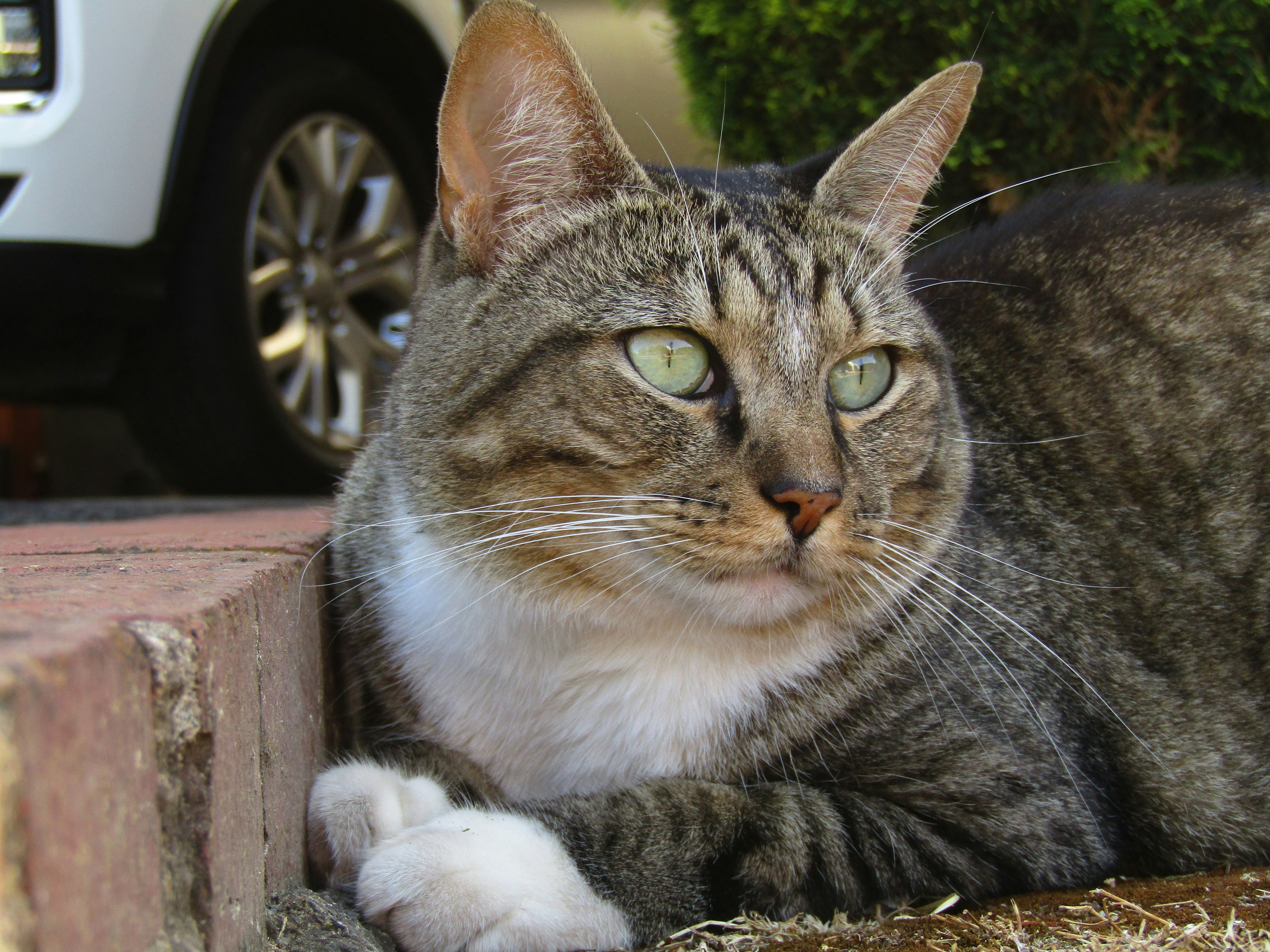 Photo by katiealexandra