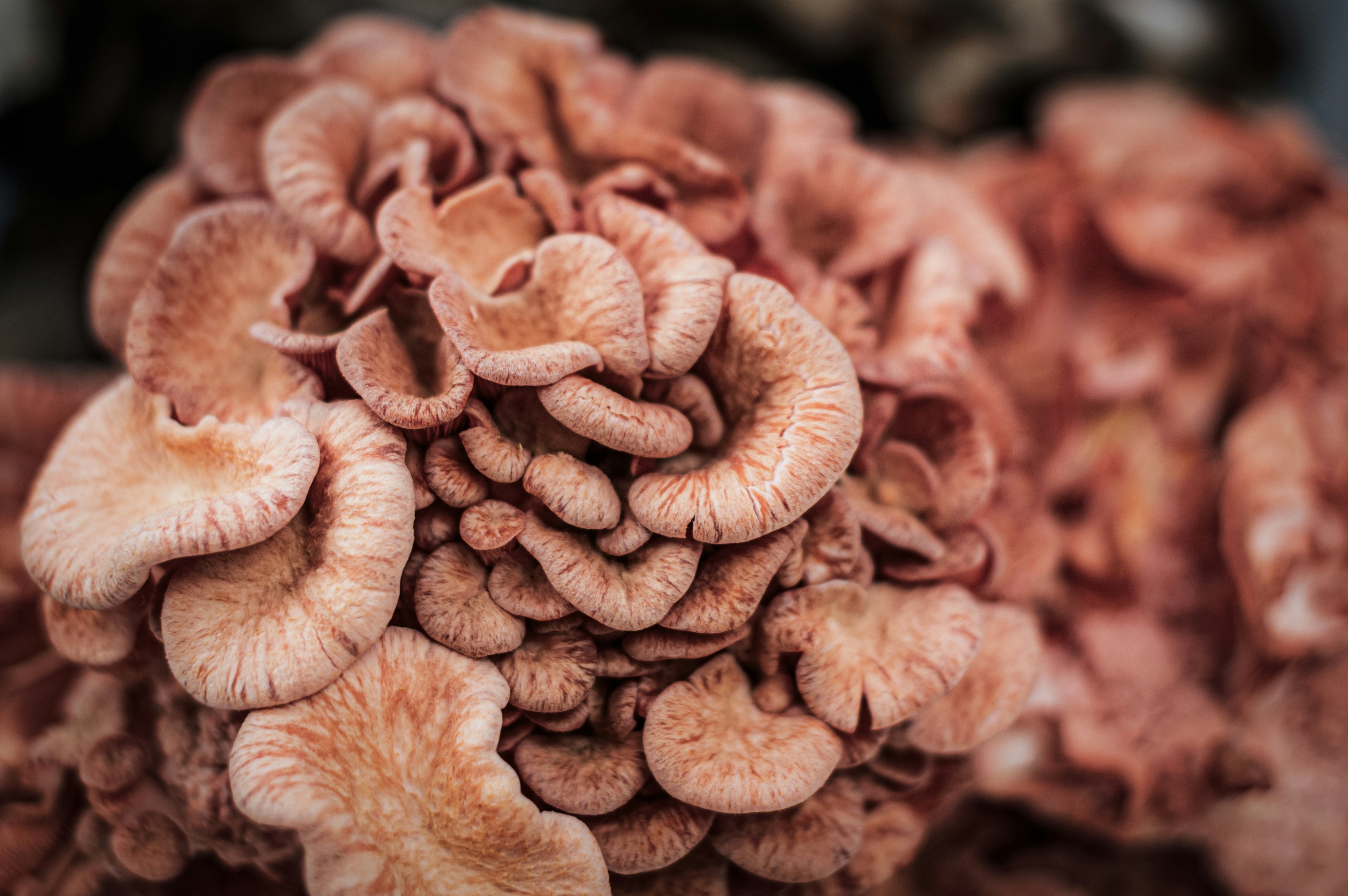 Photo by timmossholder