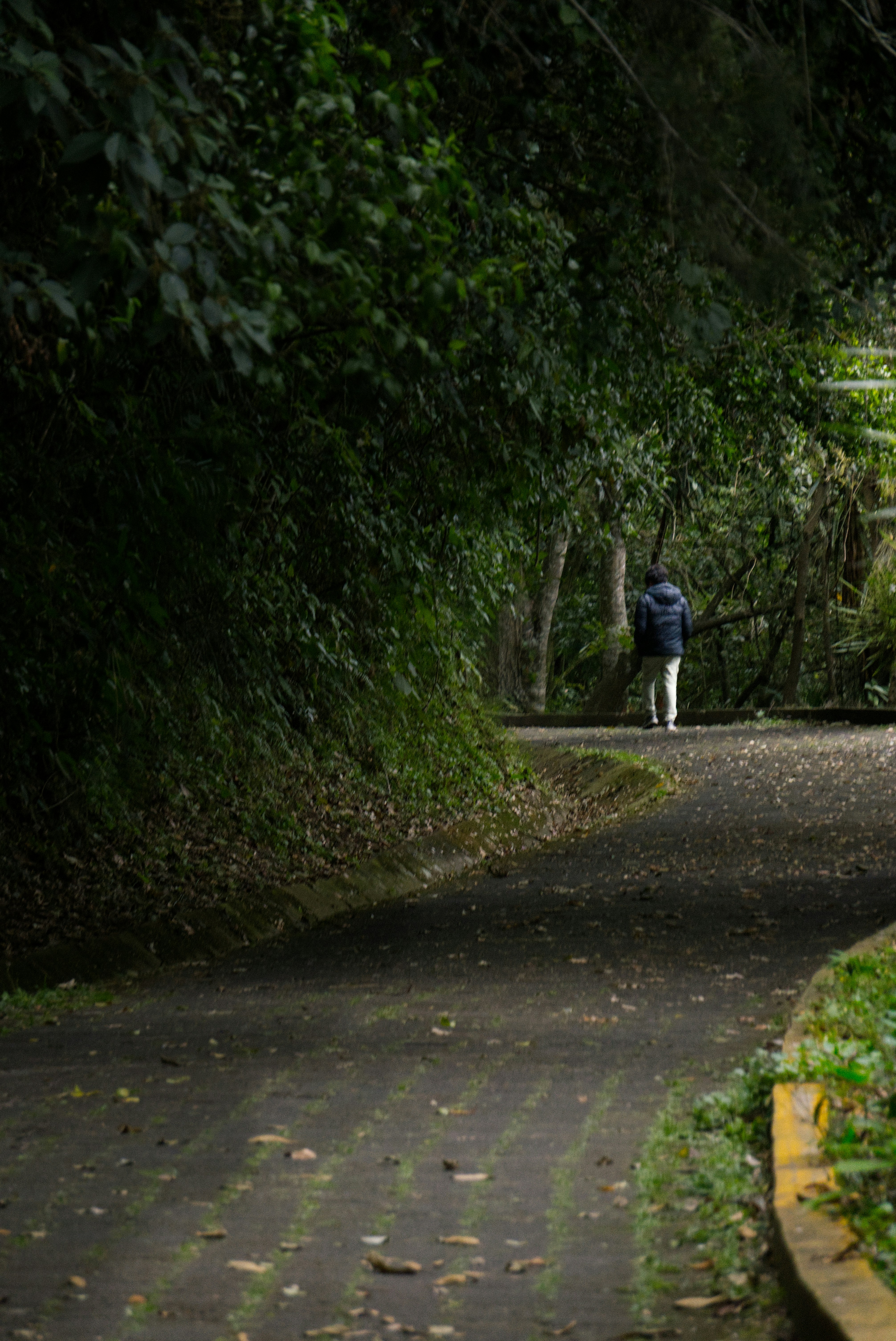 Photo by oscarespiritu