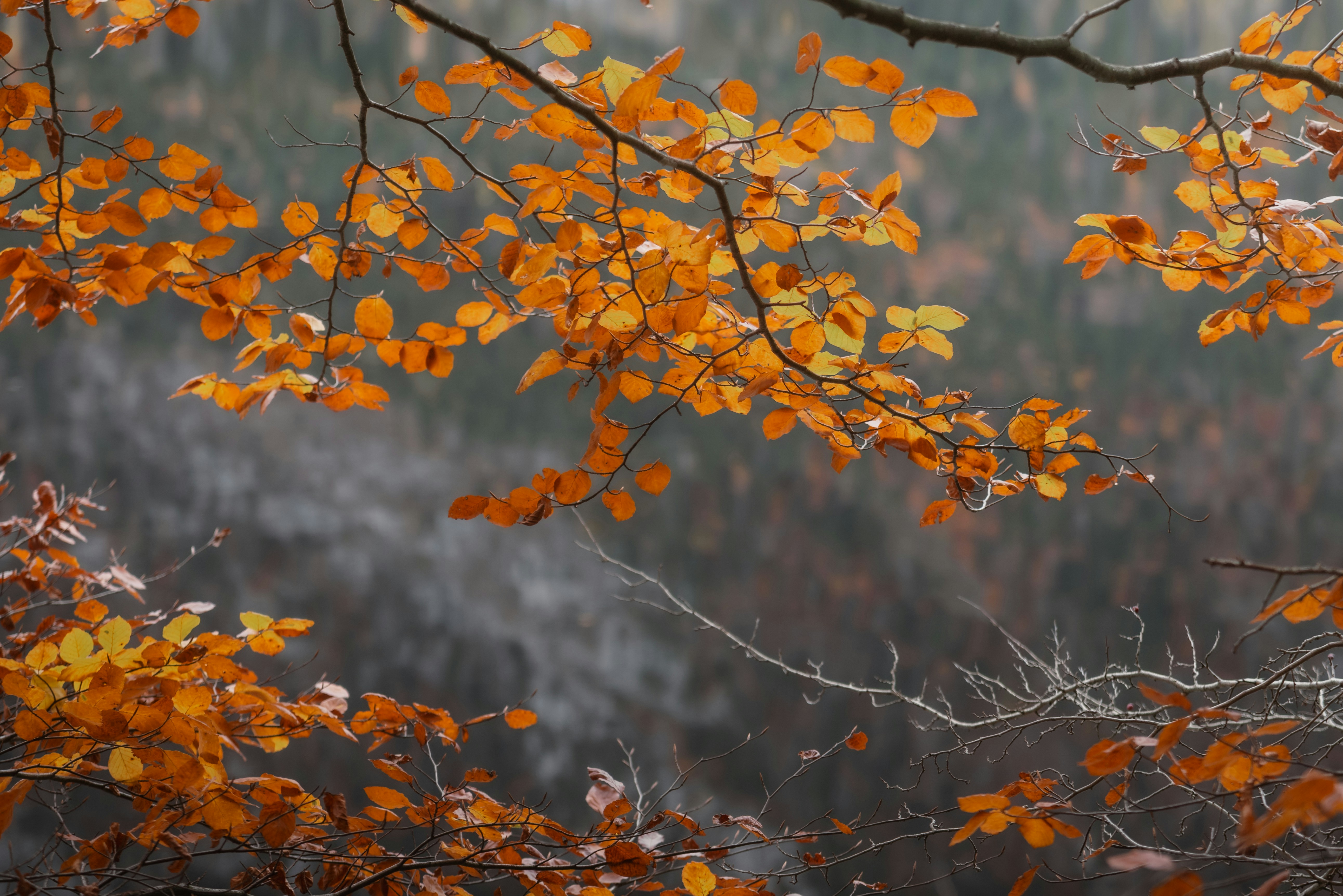 Photo by ahmetyuksek