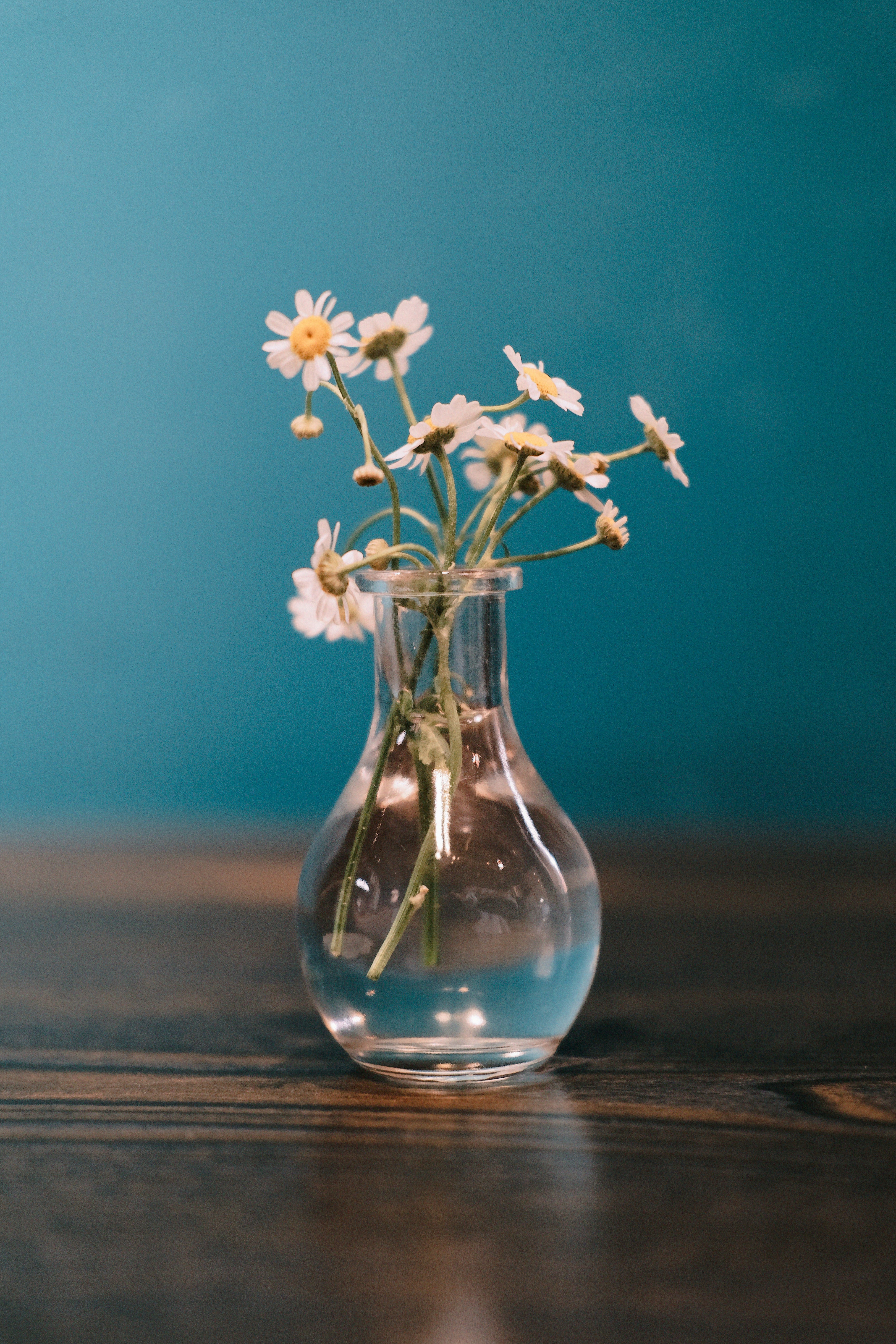 Photo by yukophotography