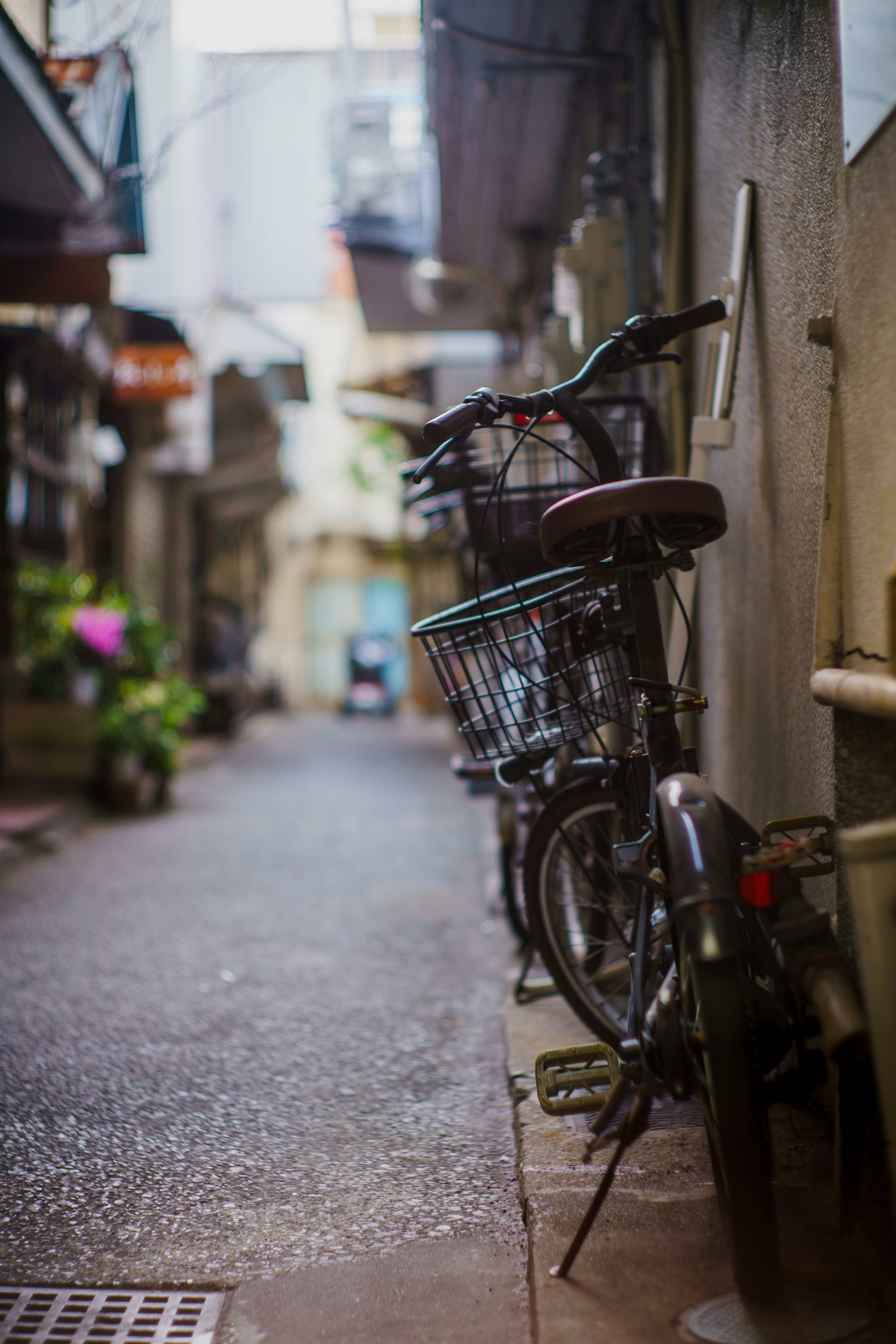 Photo by carolgauthier