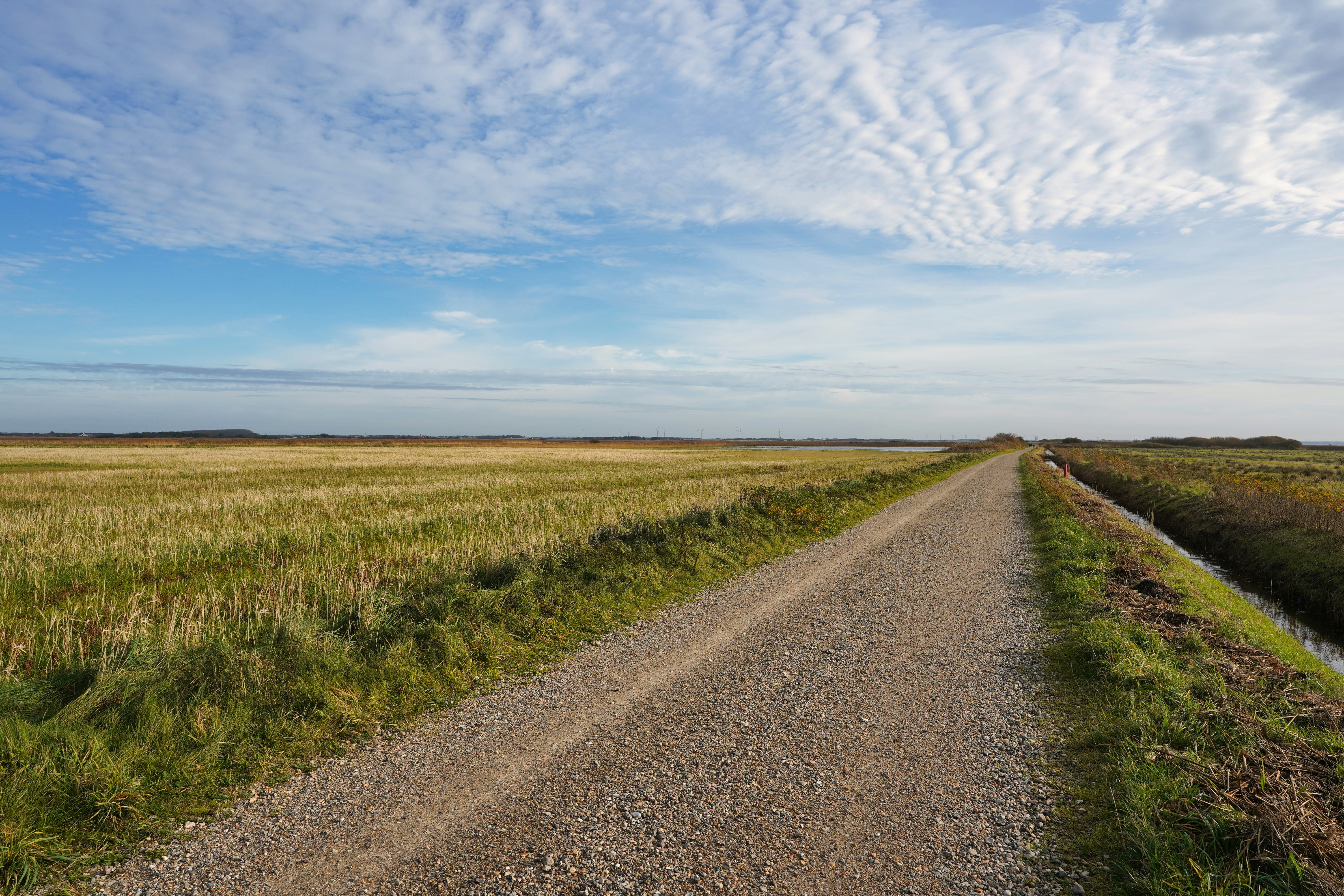 Photo by hamburgmeinefreundin