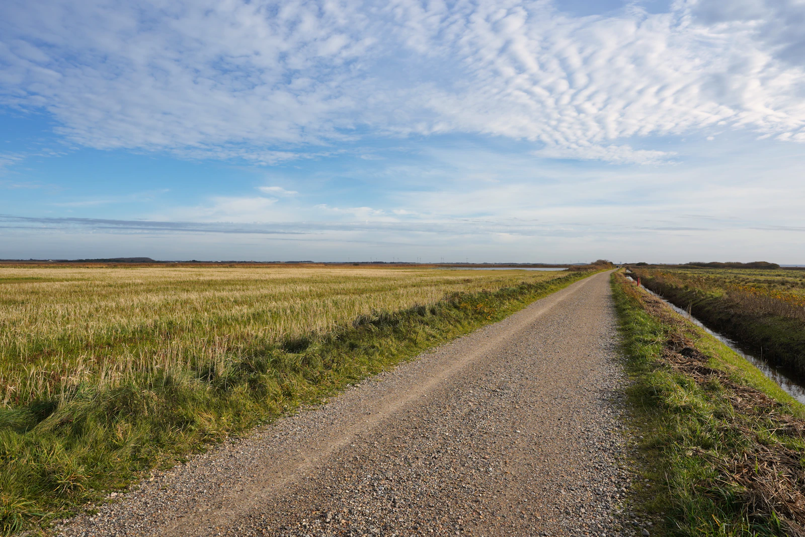Gravel road through open farmland in rural West Grey