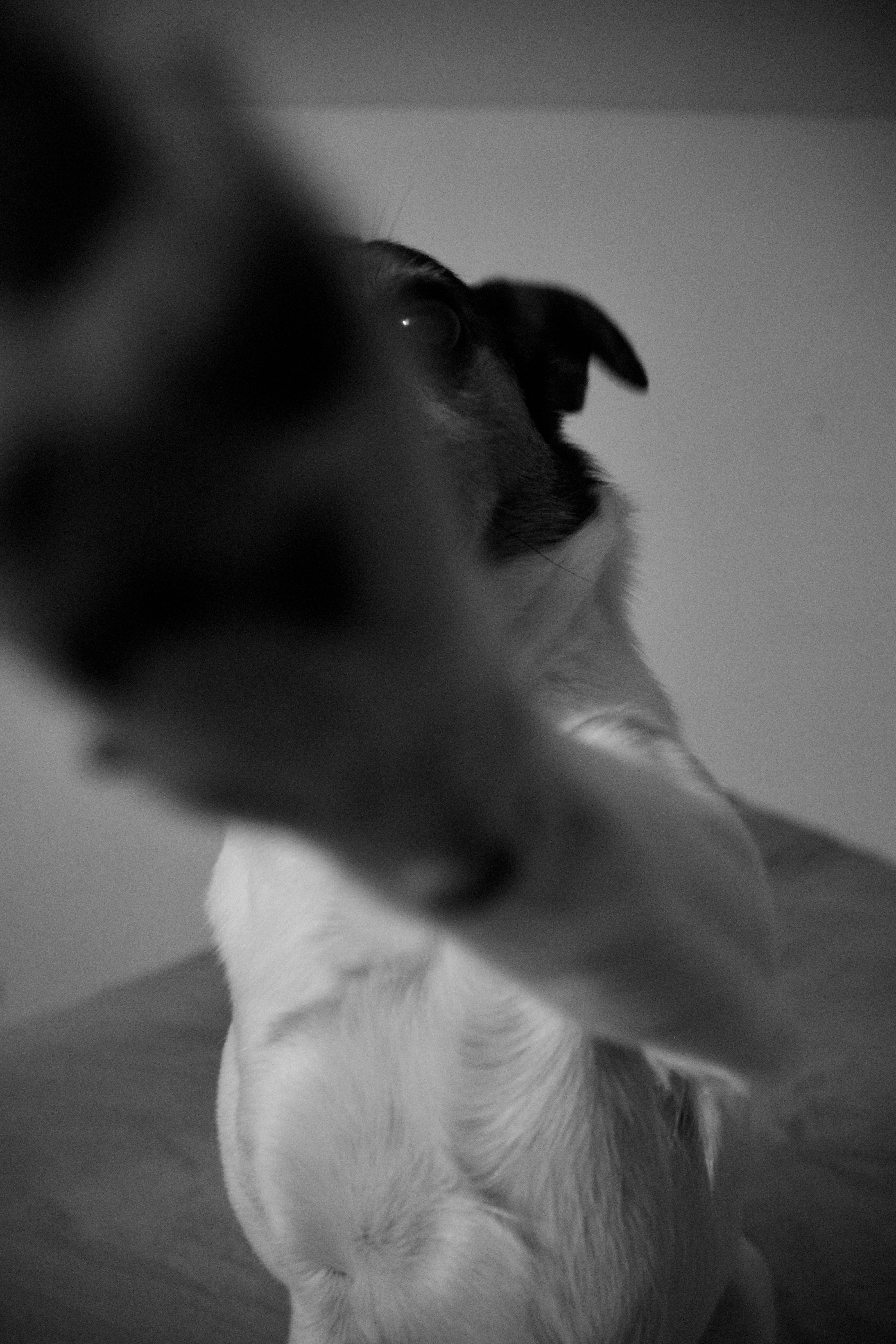 Photo by gabriellerichaume