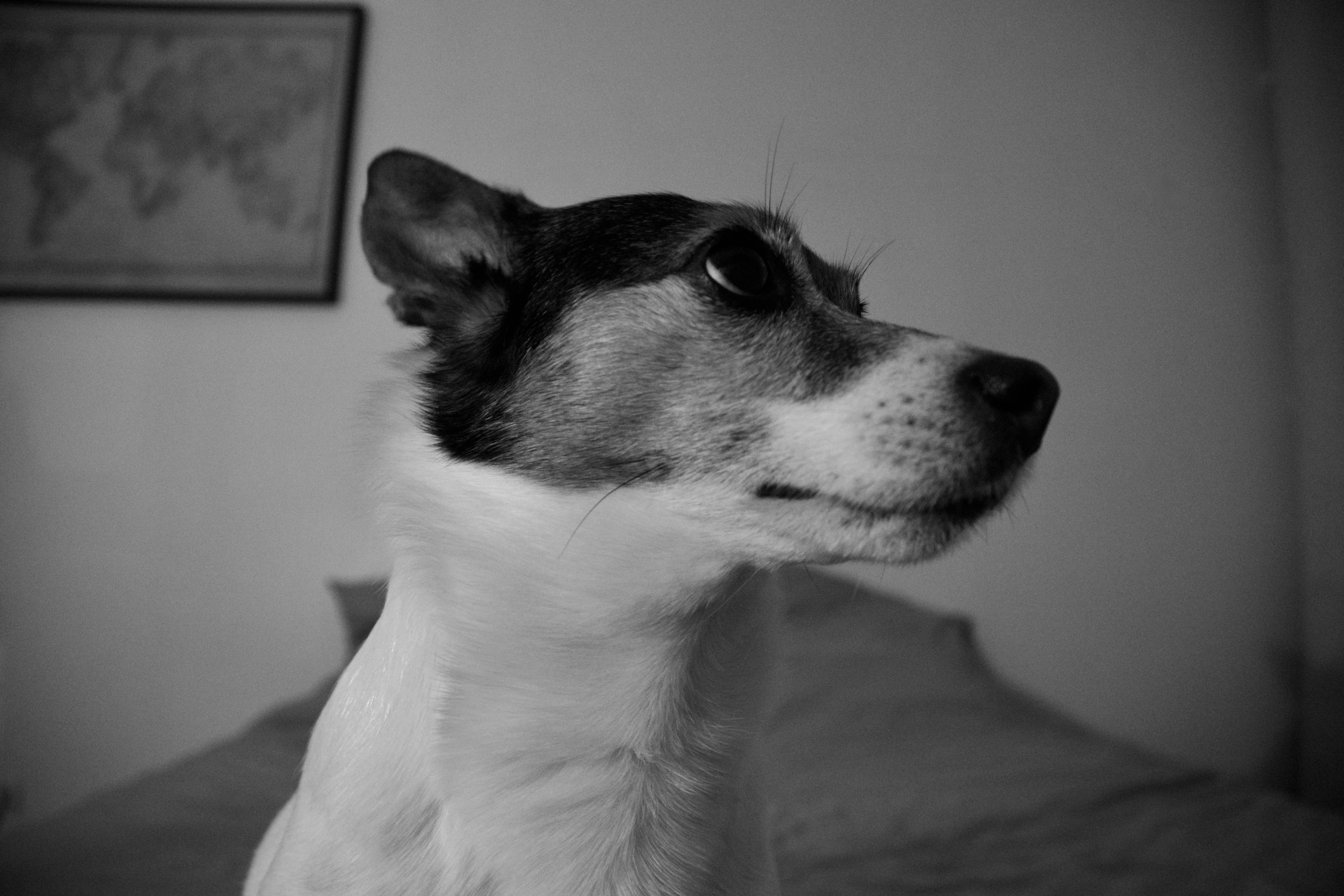 Photo by gabriellerichaume