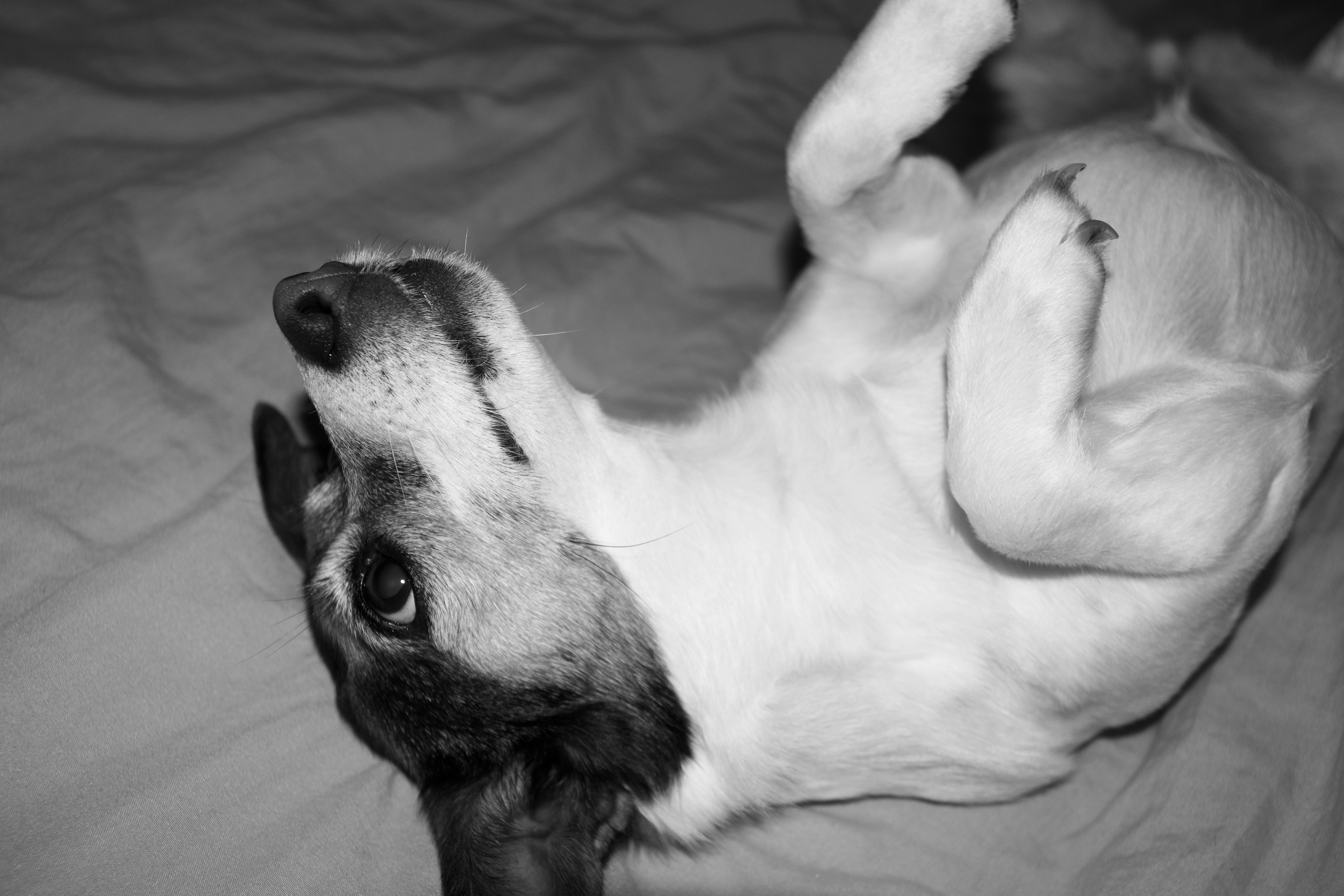 How skin barrier stress affects comfort