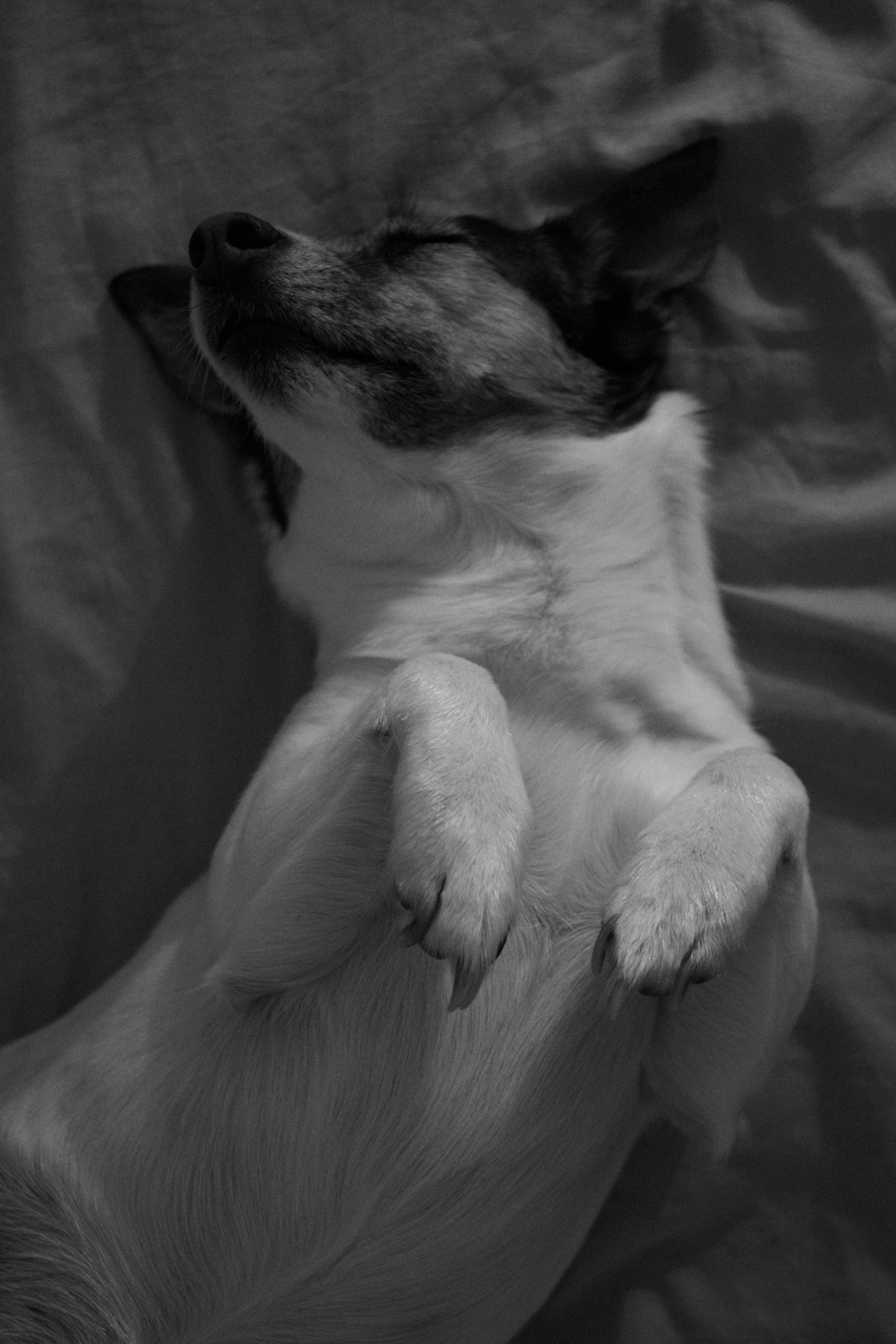 Photo by gabriellerichaume