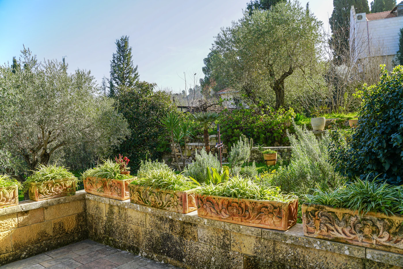 Jardin méditerranéen entretenu