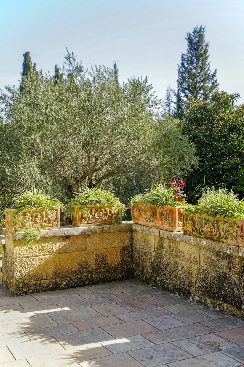 Terracotta planters with ornamental grasses and perennials set against a natural stone retaining wall