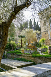 Lush green garden with stone pathways and trees