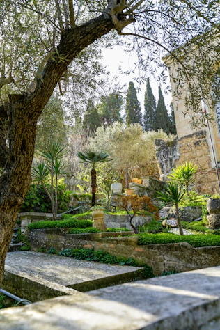Lush green garden with stone pathways and trees